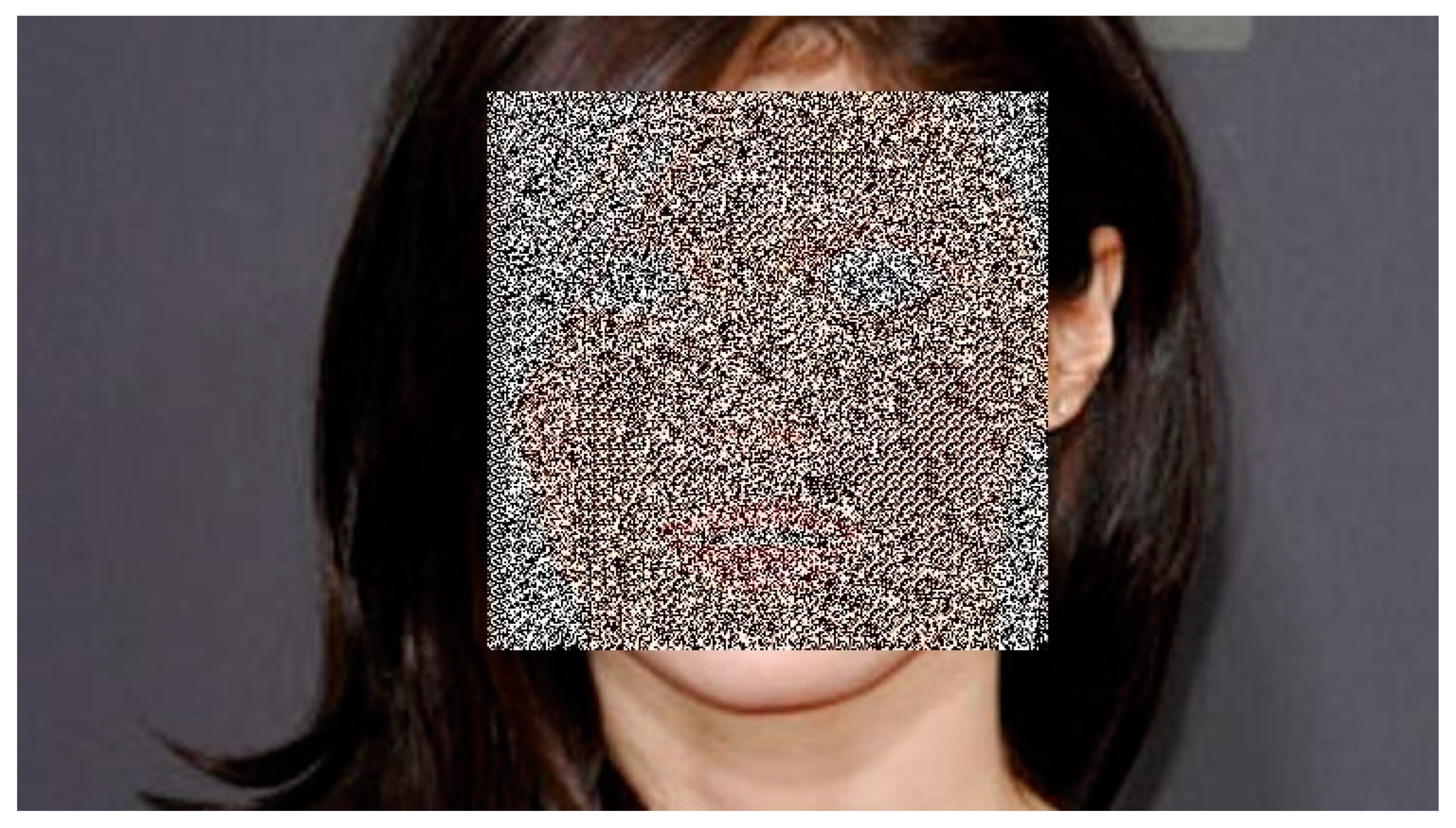 Information 14 00135 g003