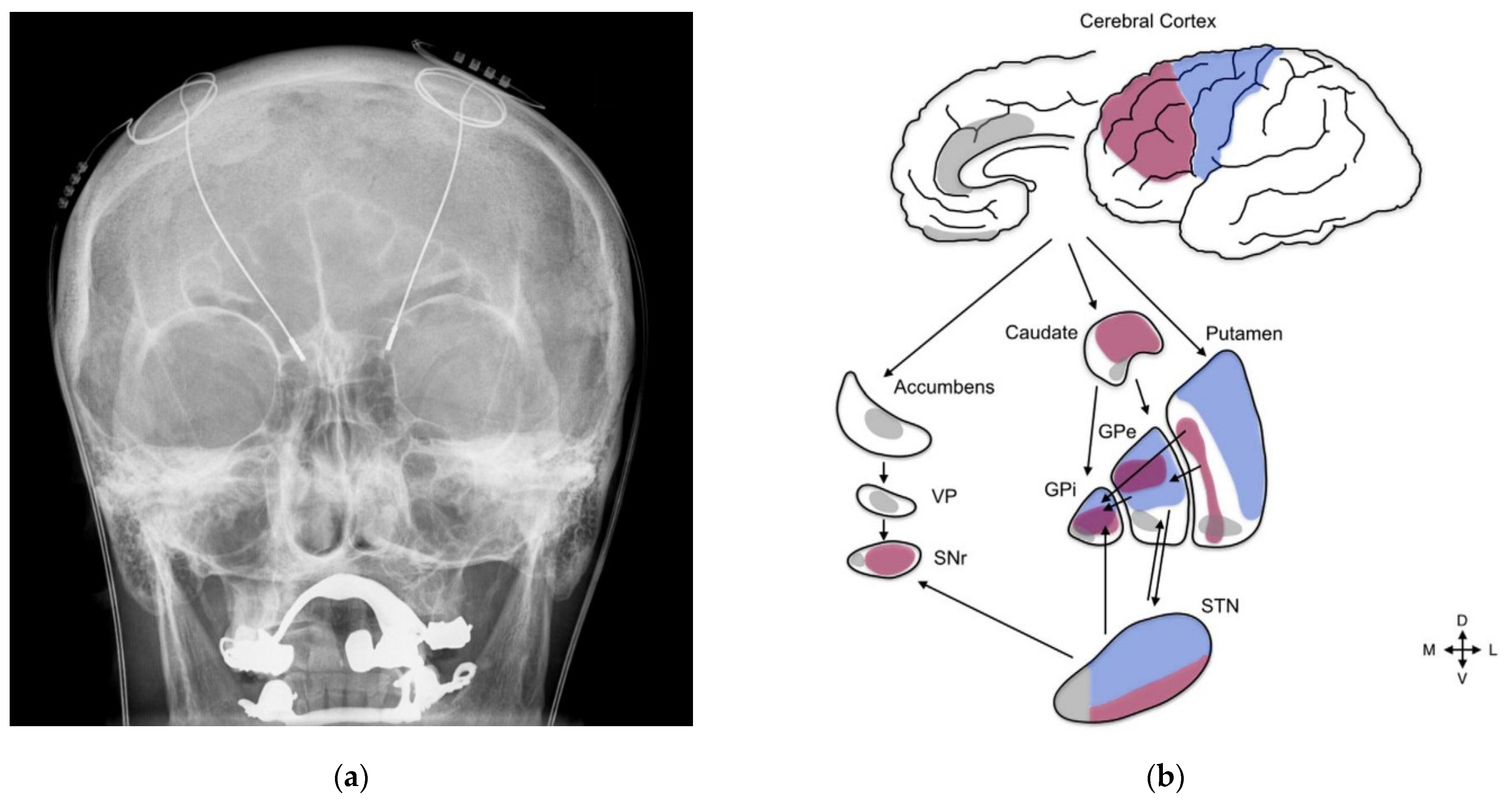 Information 14 00220 g001