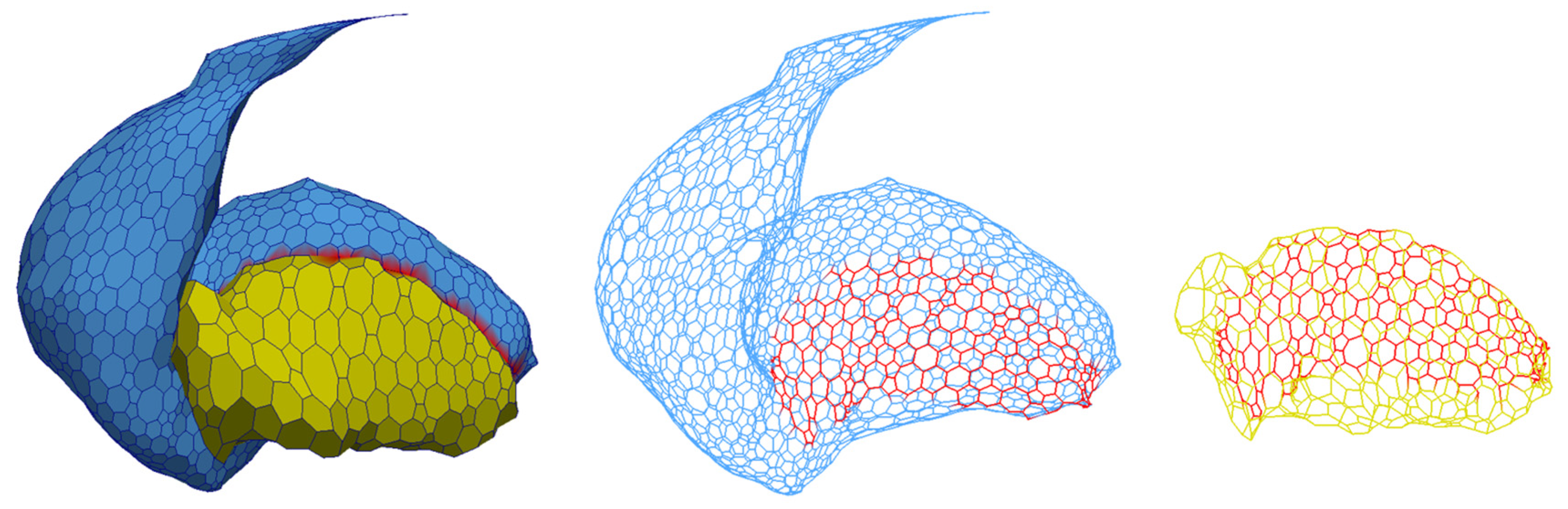 Information 14 00220 g027