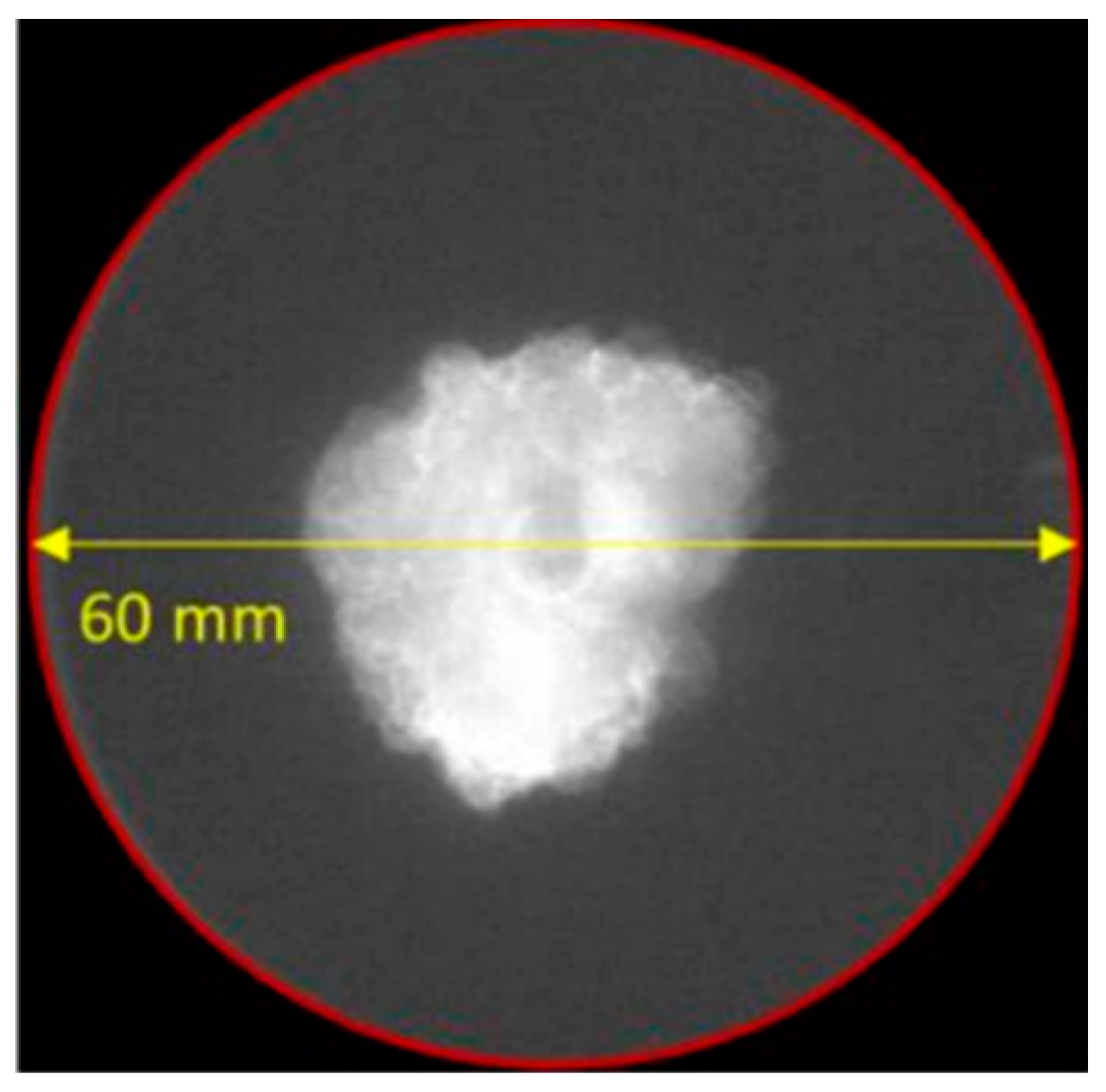 Information 14 00224 g003