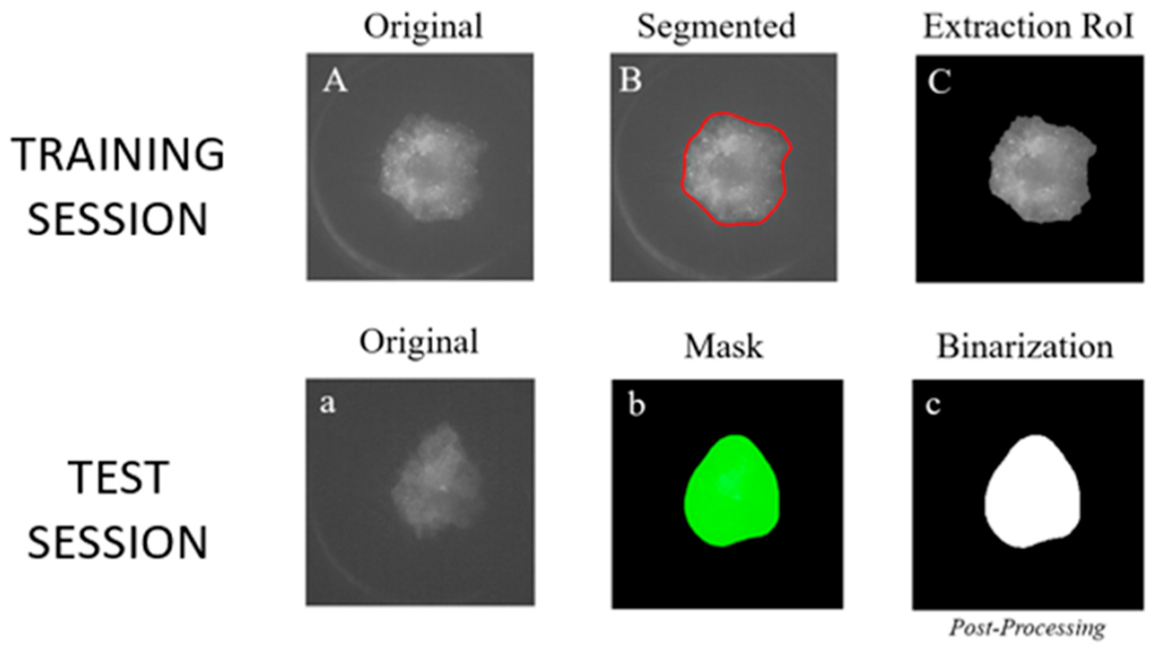 Information 14 00224 g004