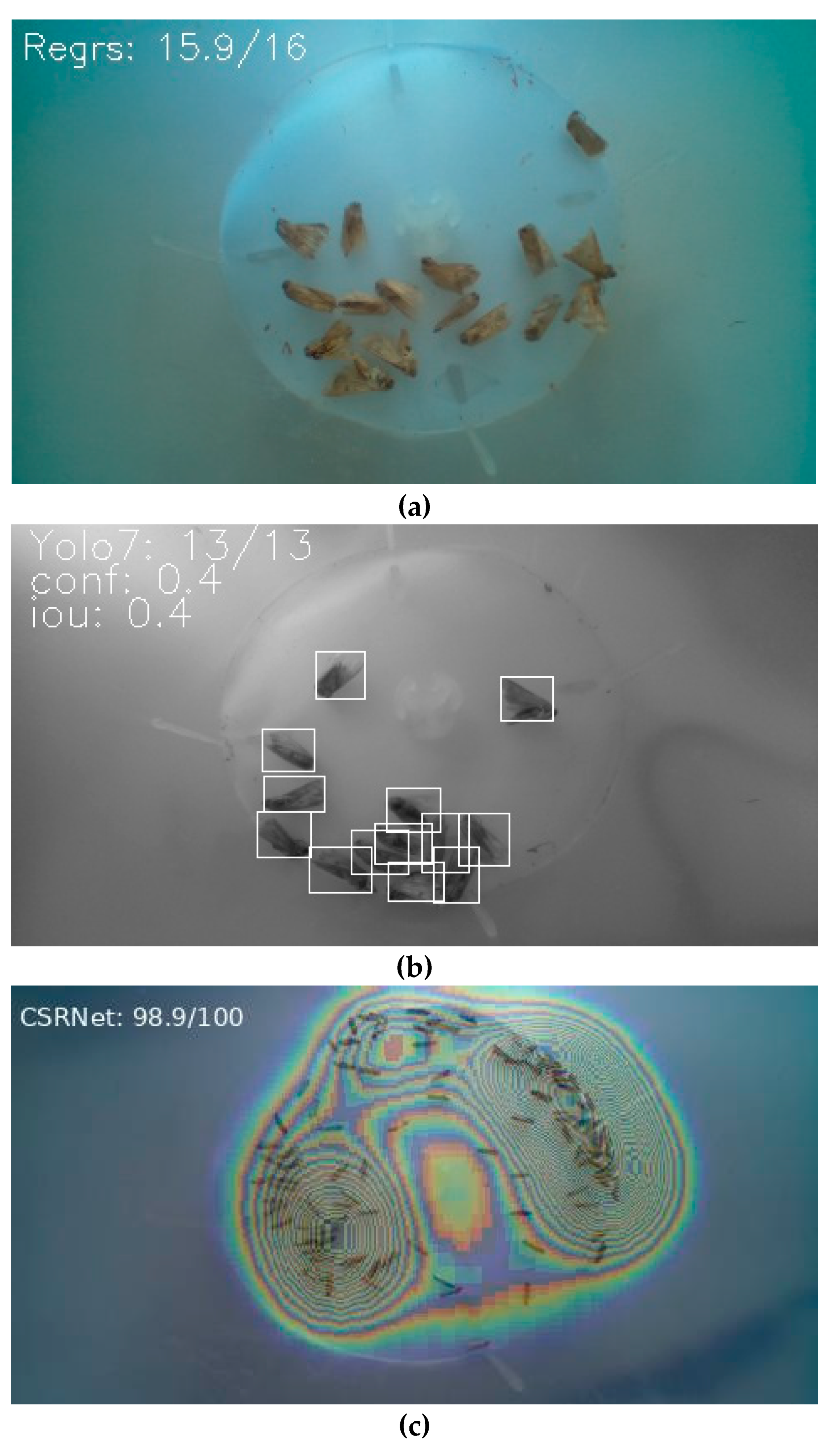 Information 14 00267 g005