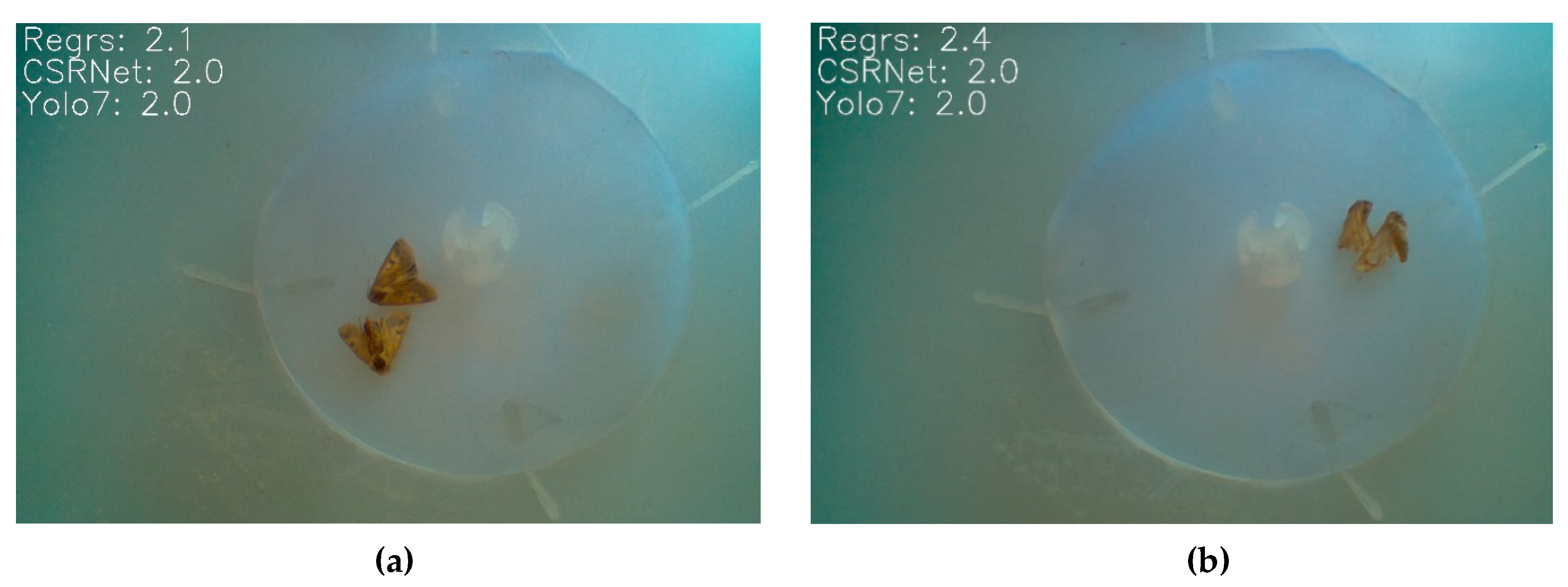 Information 14 00267 g006a