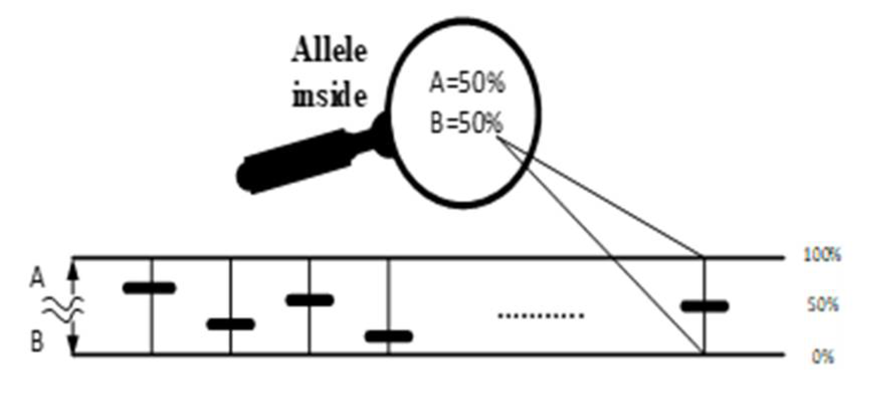 Information 14 00276 g004