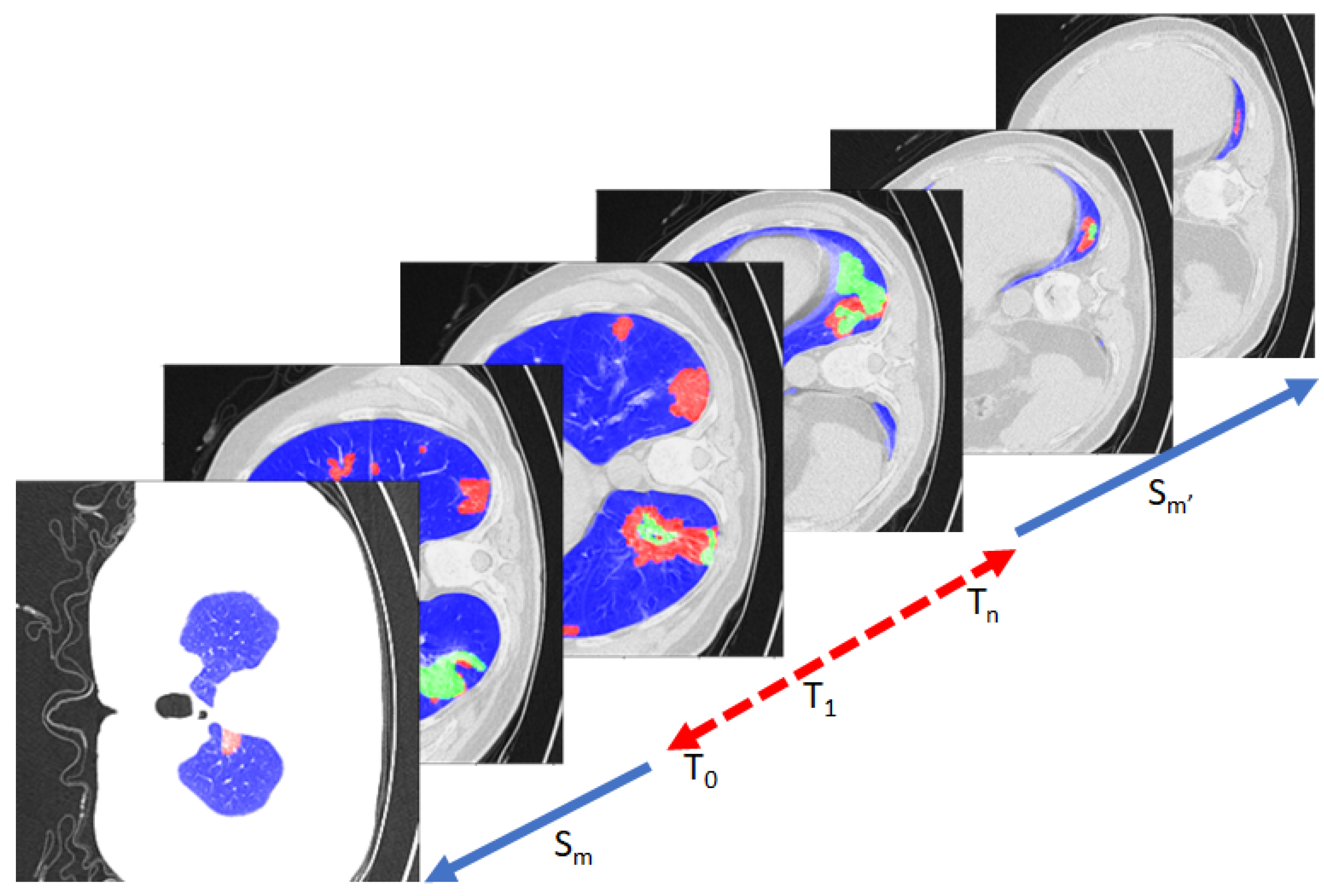 Information 14 00333 g001 Information 14 00333 g001