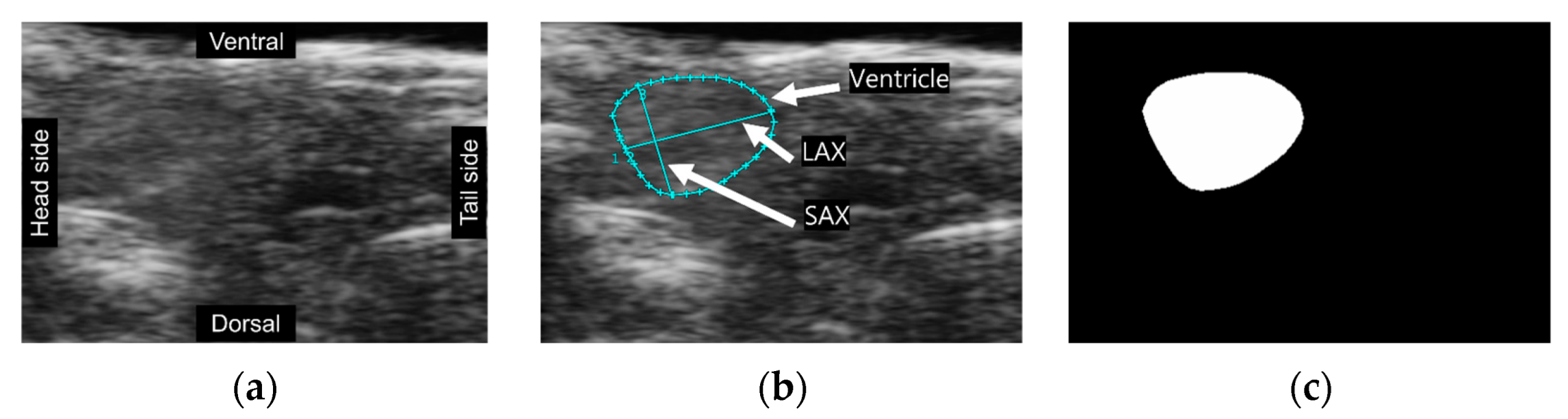 Information 14 00341 g001