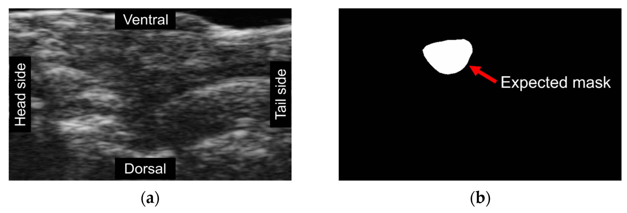 Information 14 00341 g002a