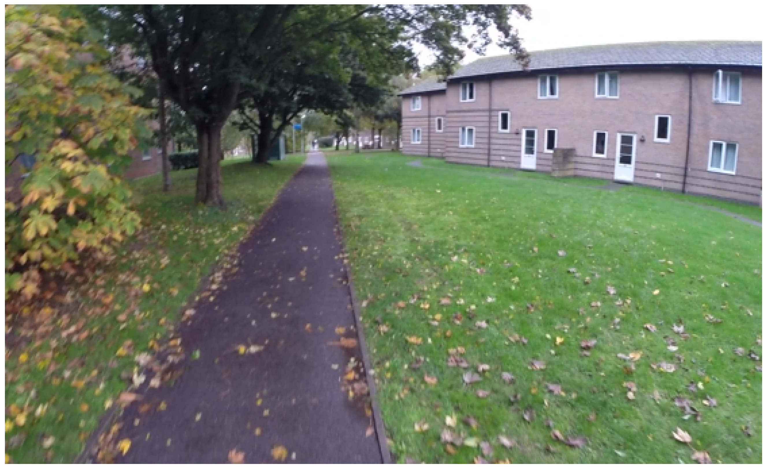 Information 14 00353 g001