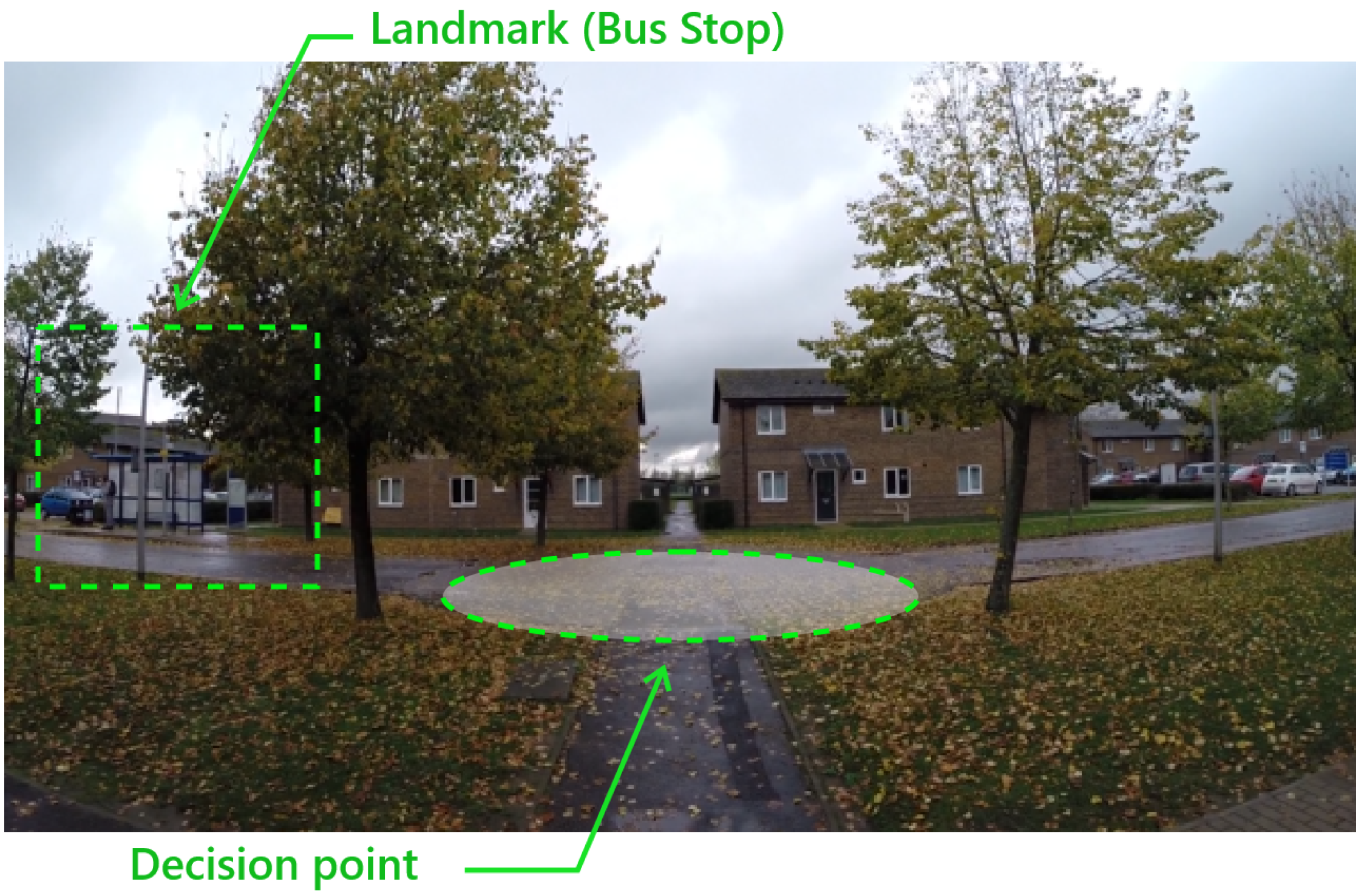 Information 14 00353 g007