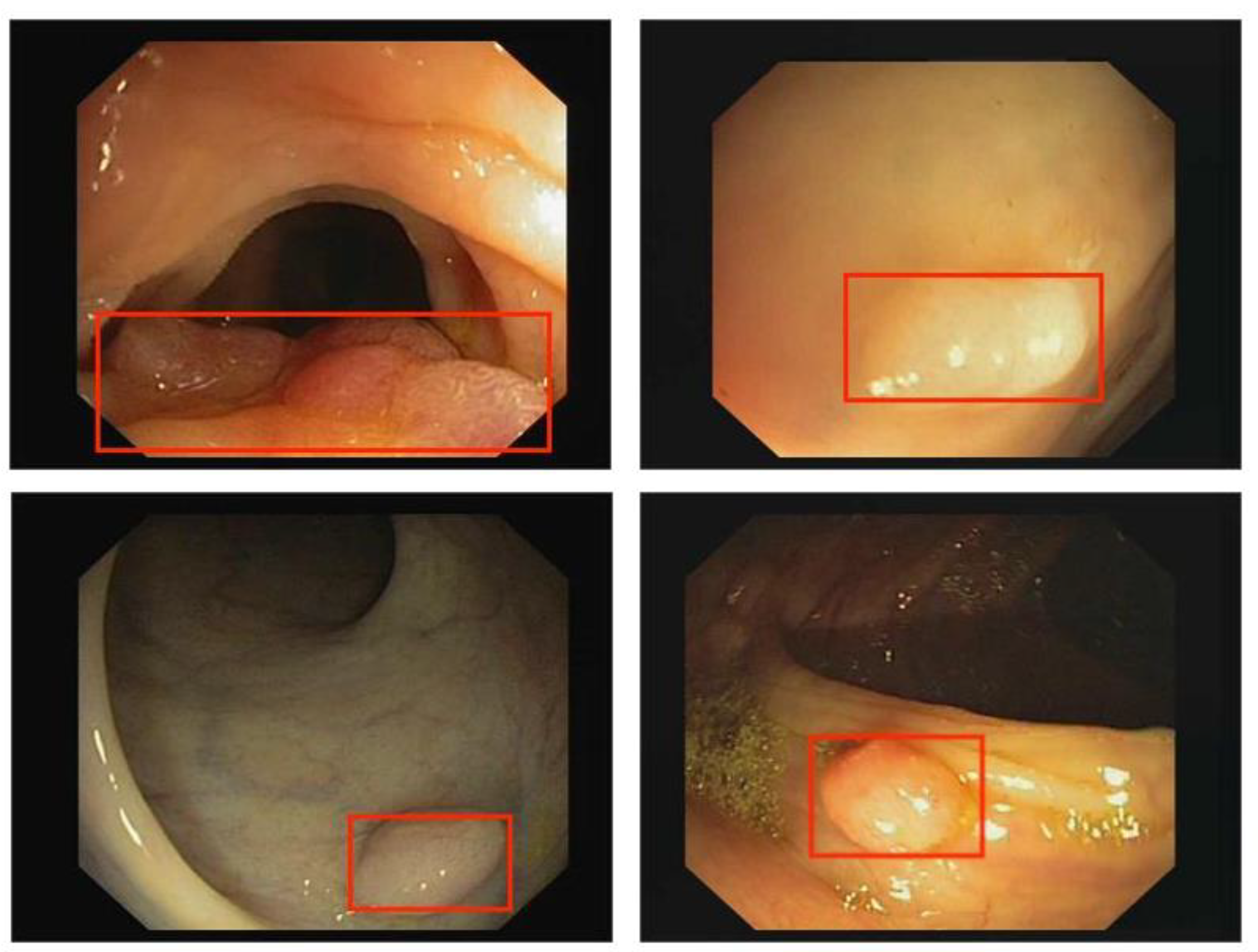 Information 14 00362 g001 Information 14 00362 g001