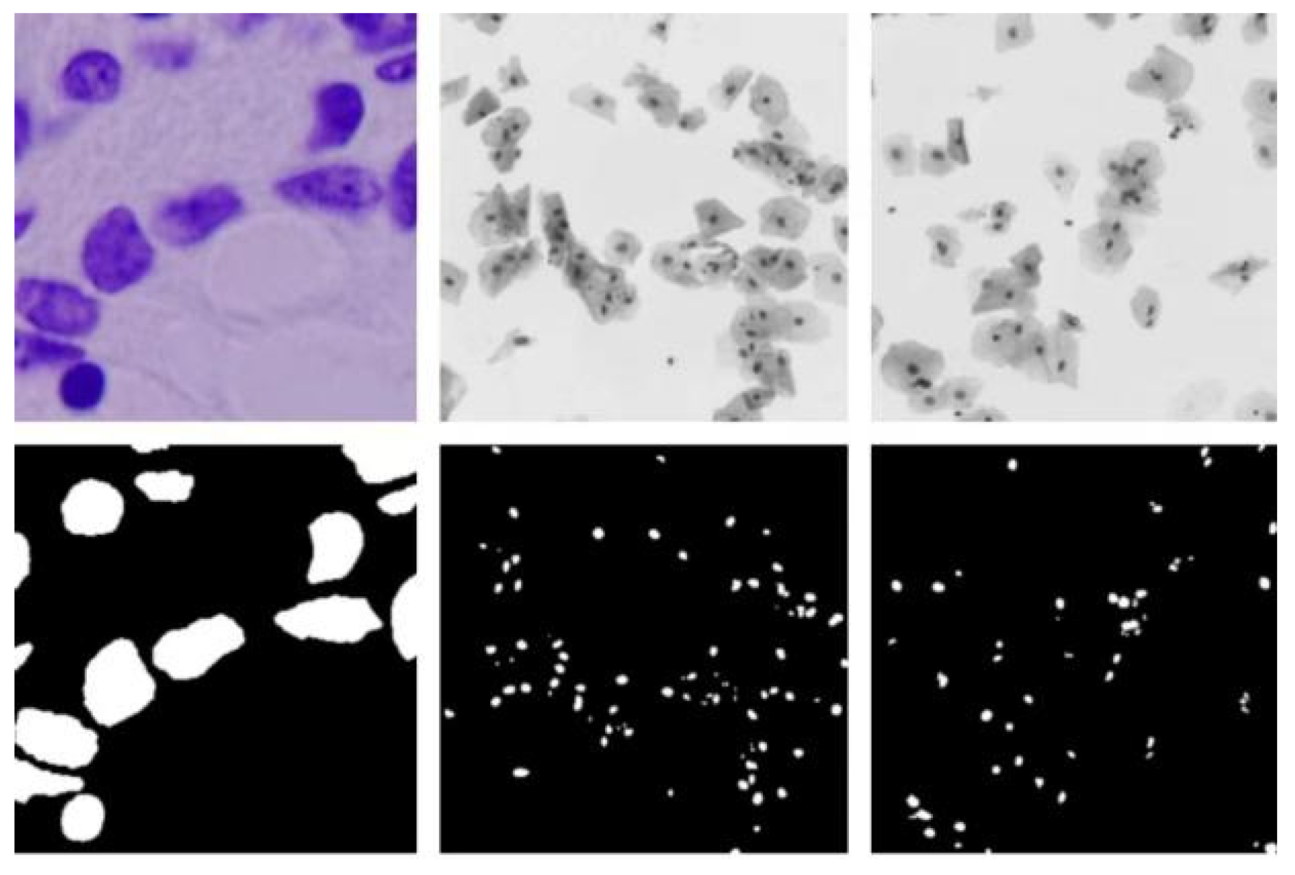 Information 14 00366 g013 Information 14 00366 g013