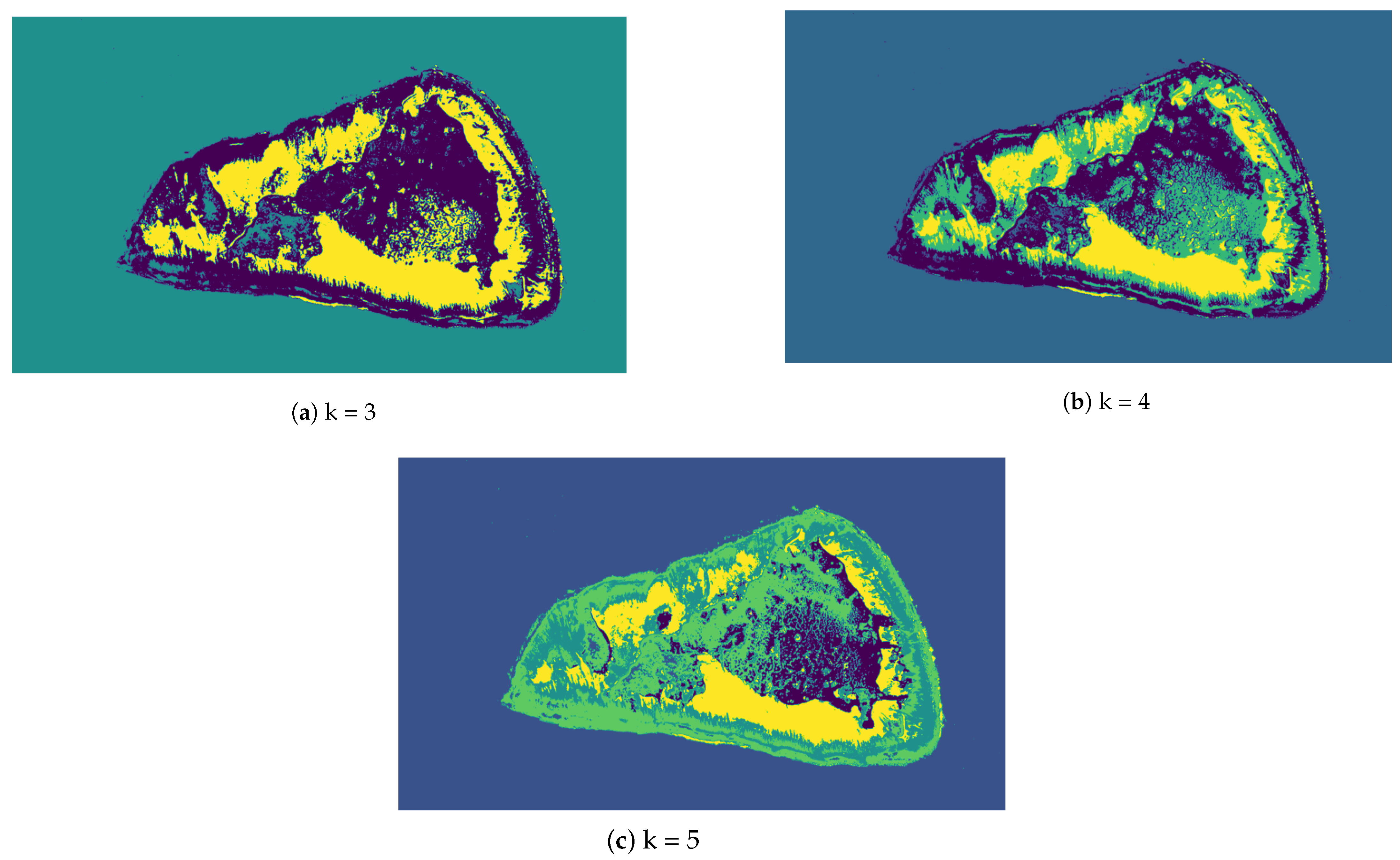 Information 14 00373 g005