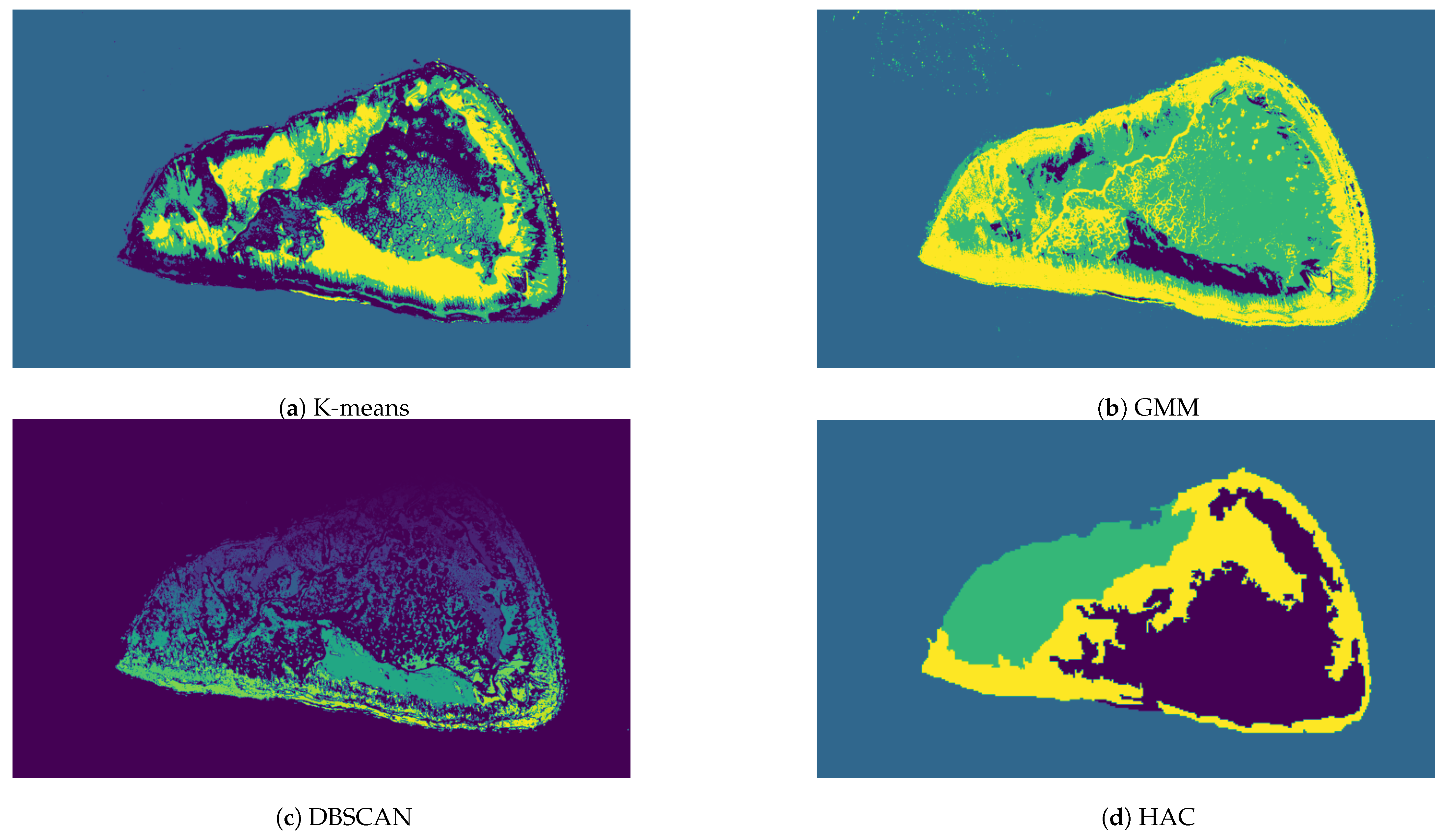Information 14 00373 g006