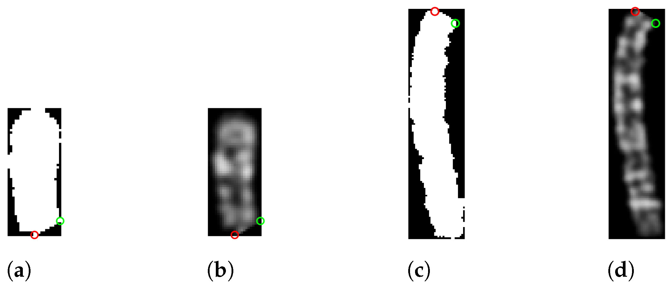 Information 14 00389 g006 Information 14 00389 g006