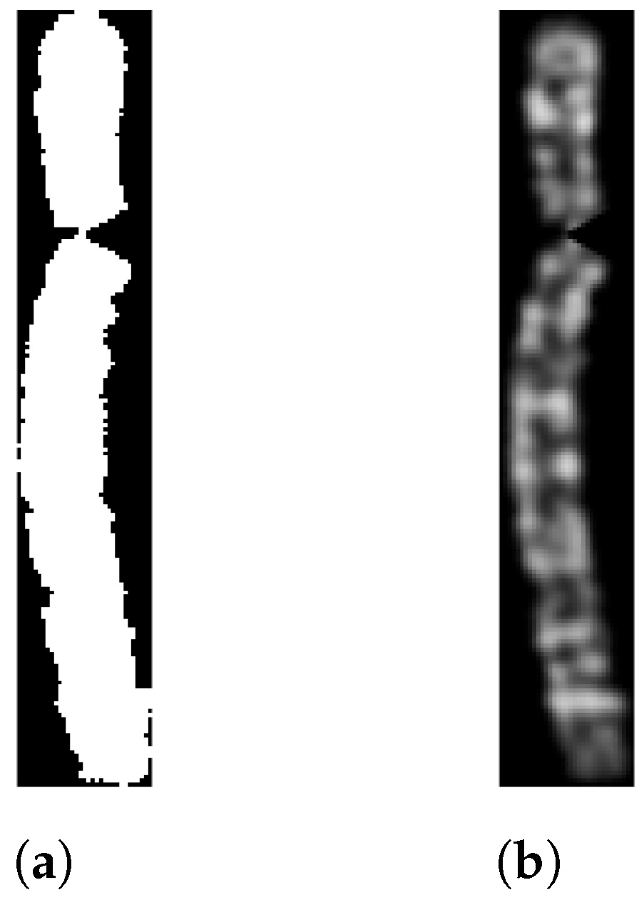 Information 14 00389 g007 Information 14 00389 g007