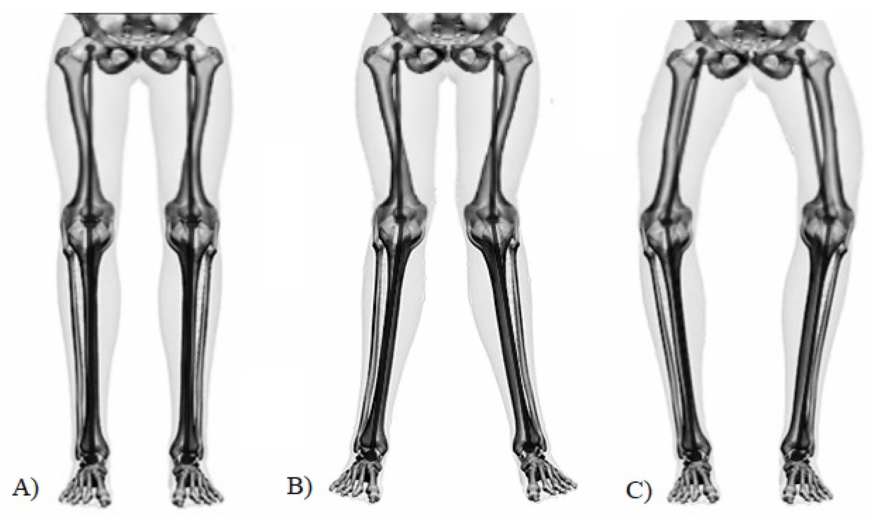 Information 14 00402 g001