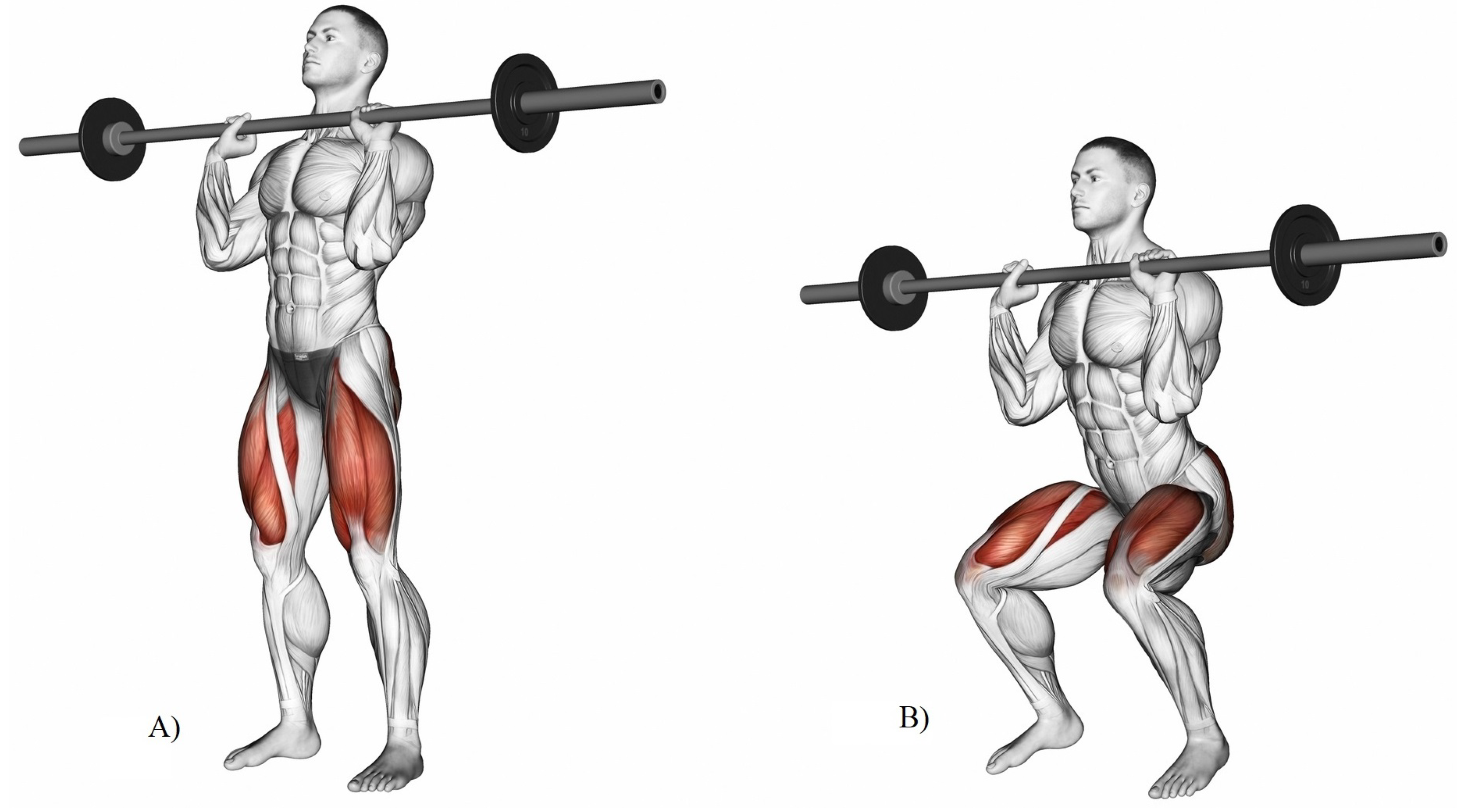 Information 14 00402 g002