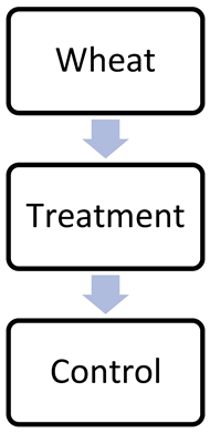 Information 14 00454 i009 Information 14 00454 i009