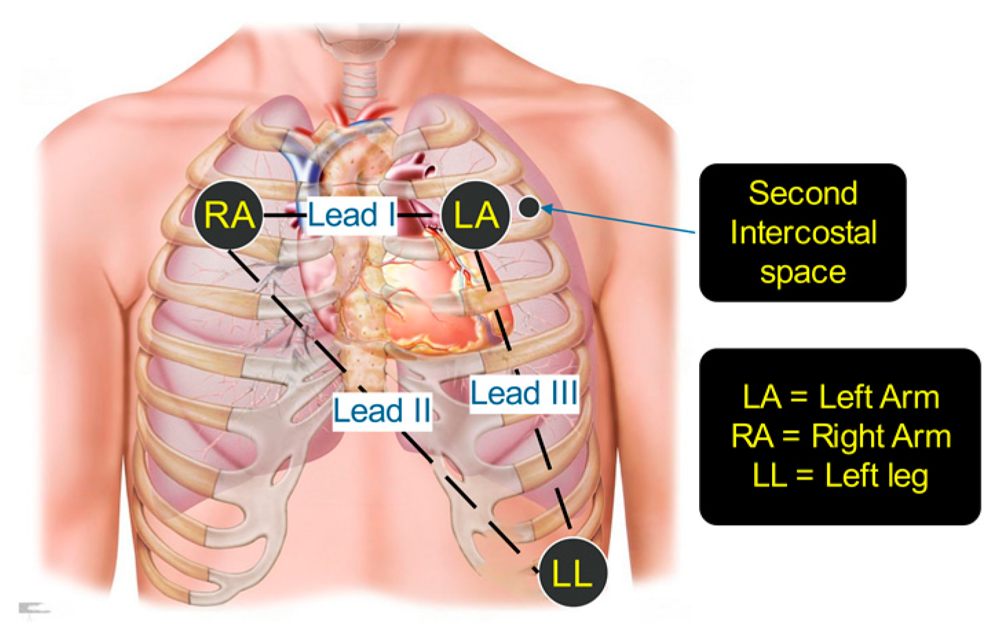 Information 14 00539 g002