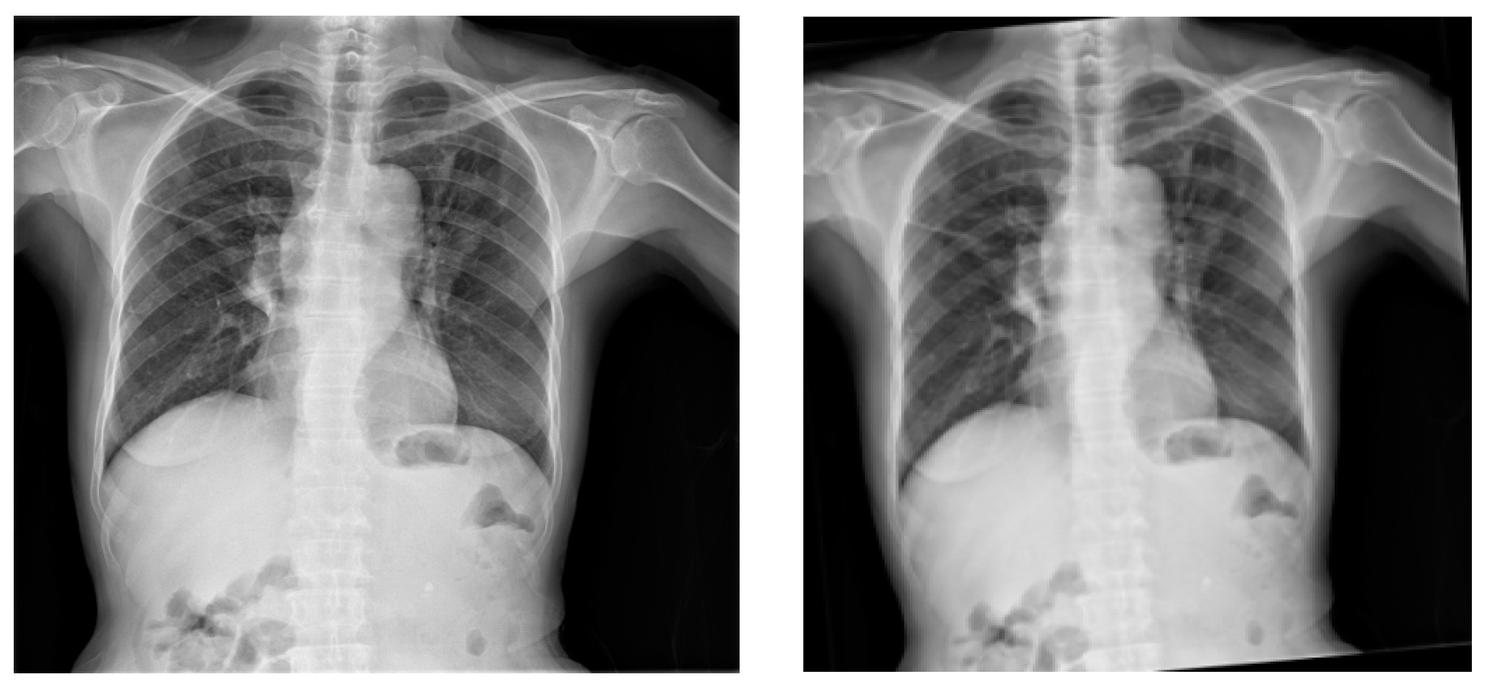 Information 14 00655 g005