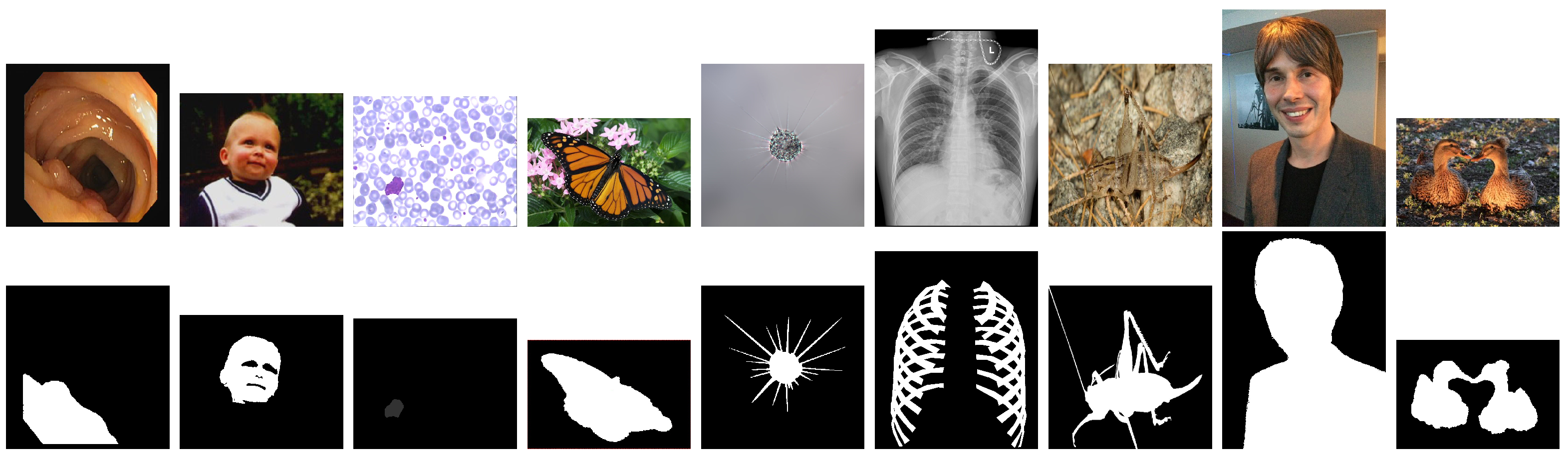 Information 14 00657 g001