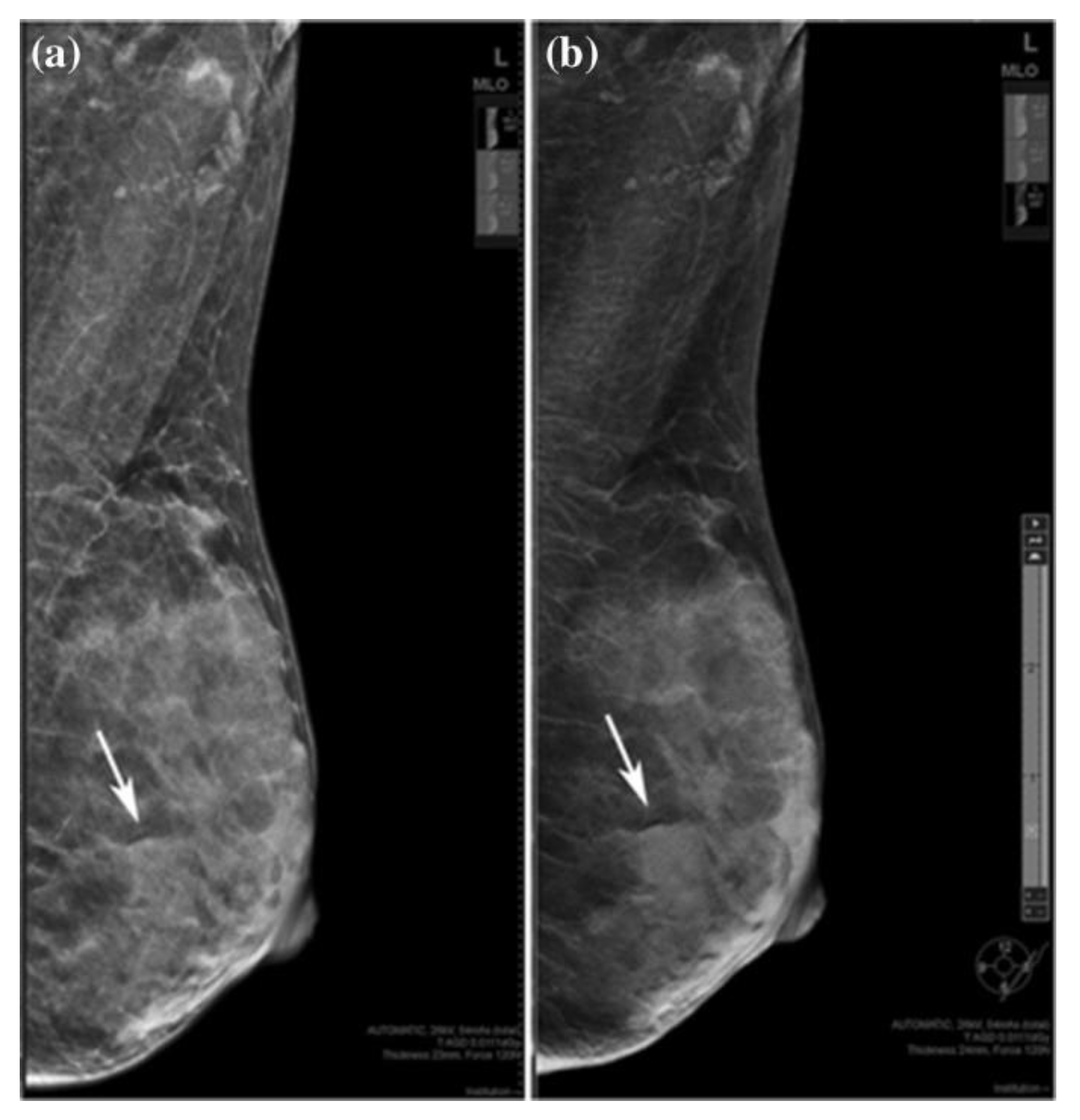 Information 15 00010 g002