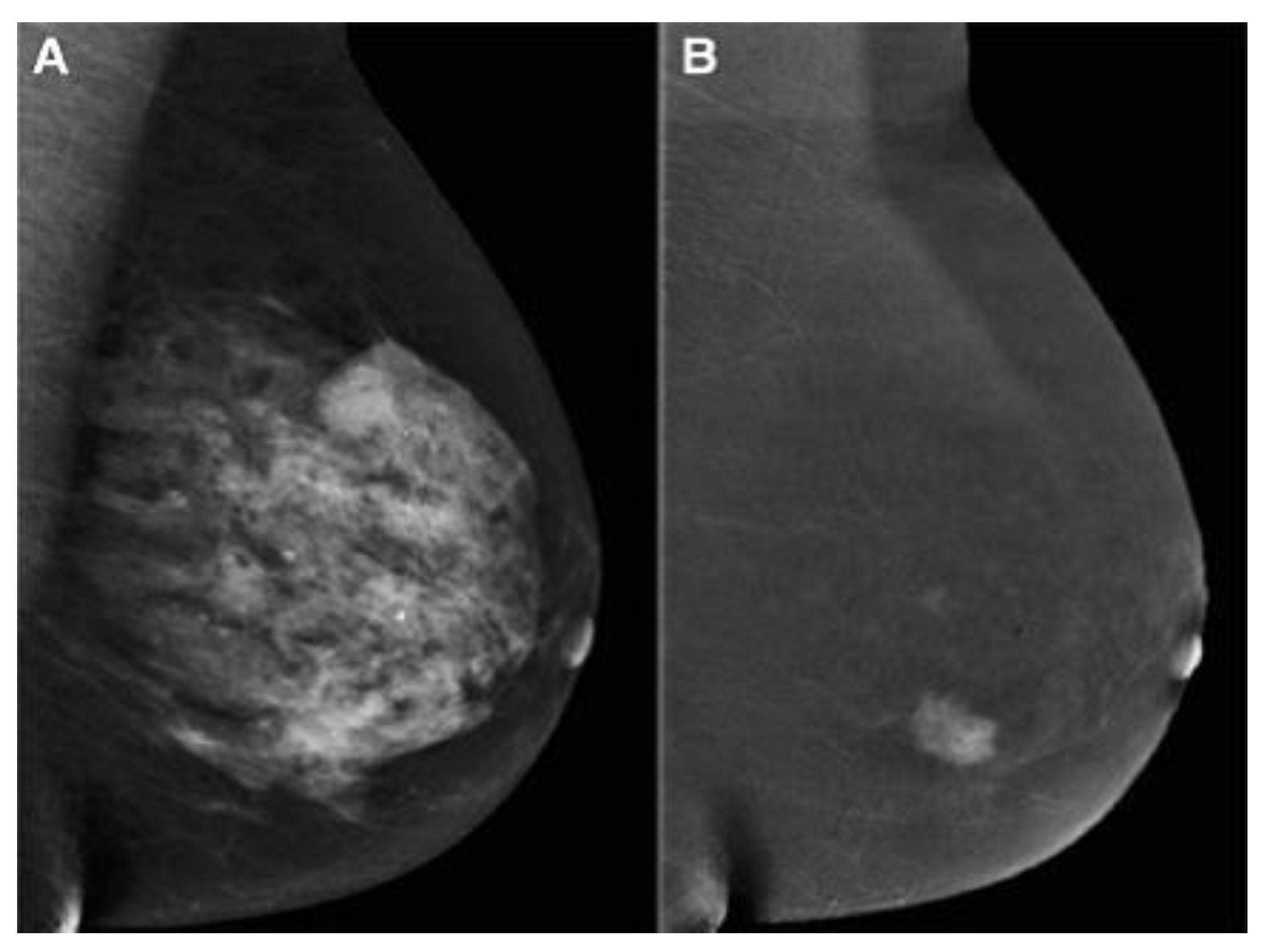 Information 15 00010 g003