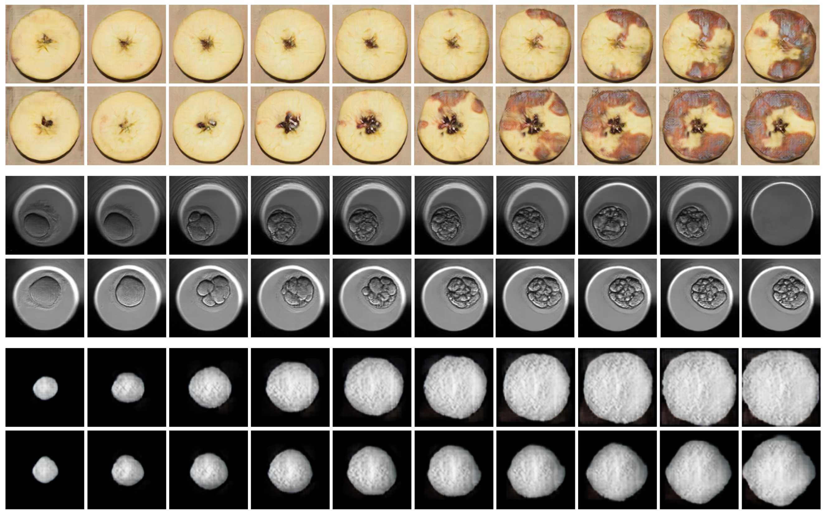 Information 15 00012 g004