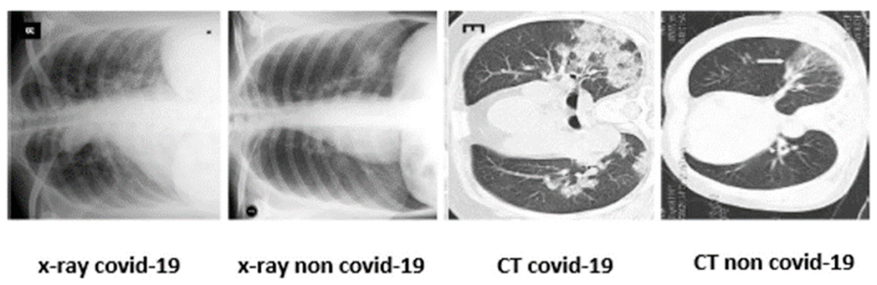 Information 15 00058 g001