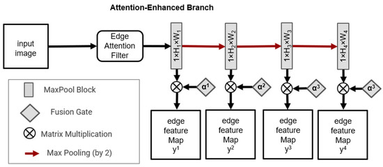Edge-Guided Cell Segmentation on Small Datasets Using an Attention ...