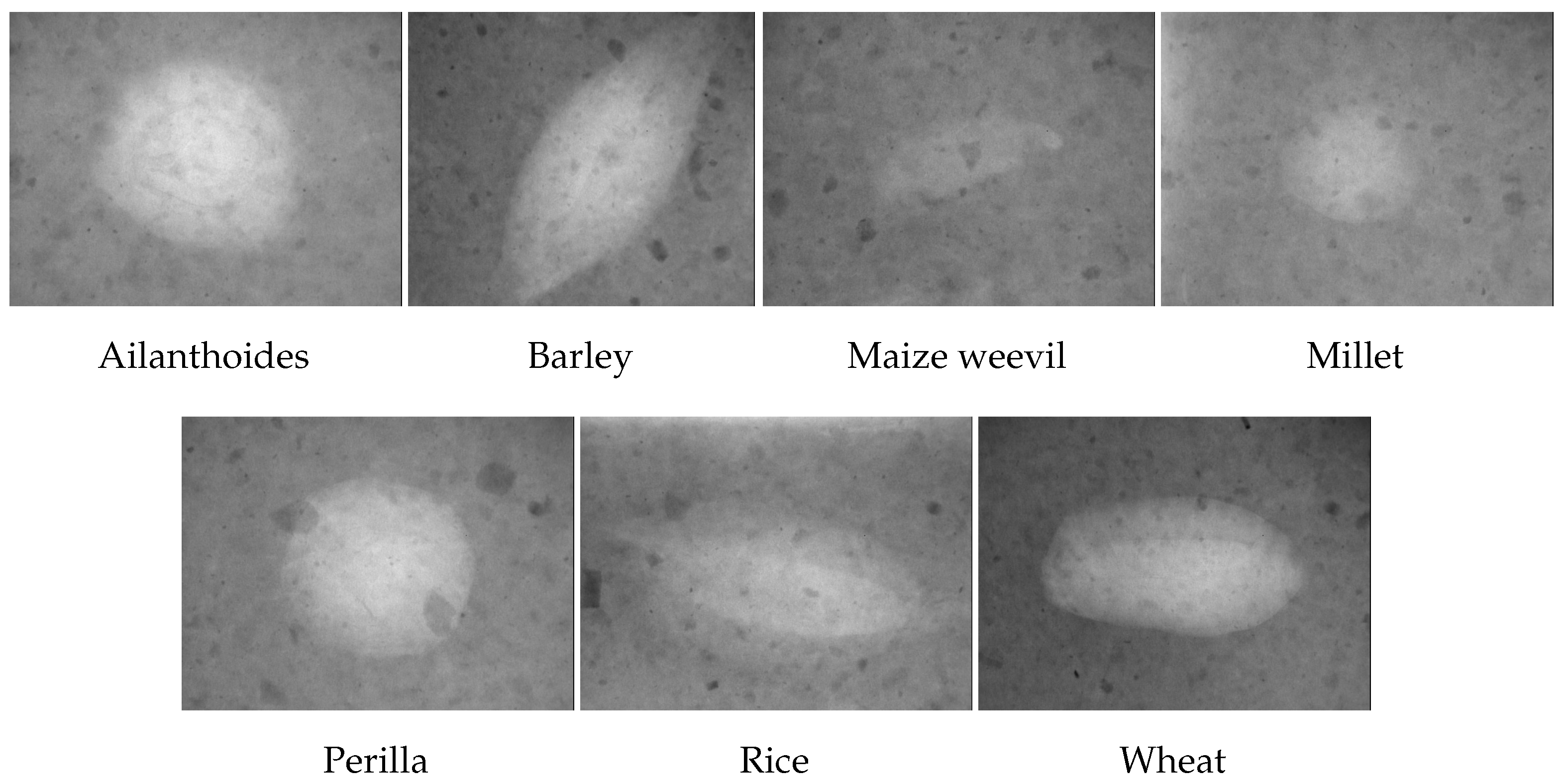 Information 15 00243 g001