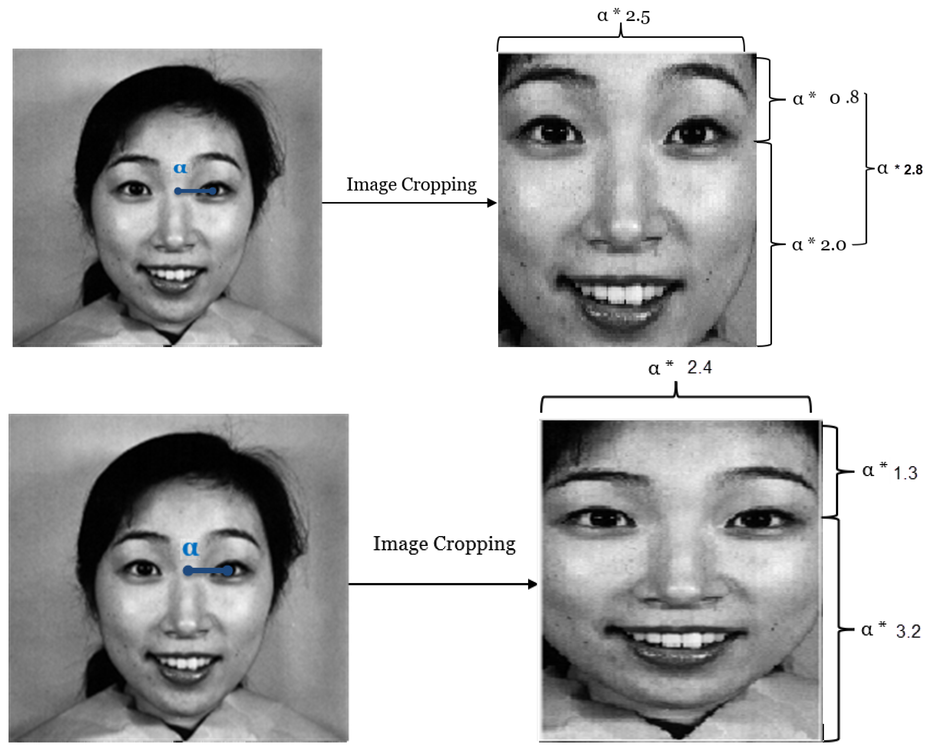 Information 15 00384 g002