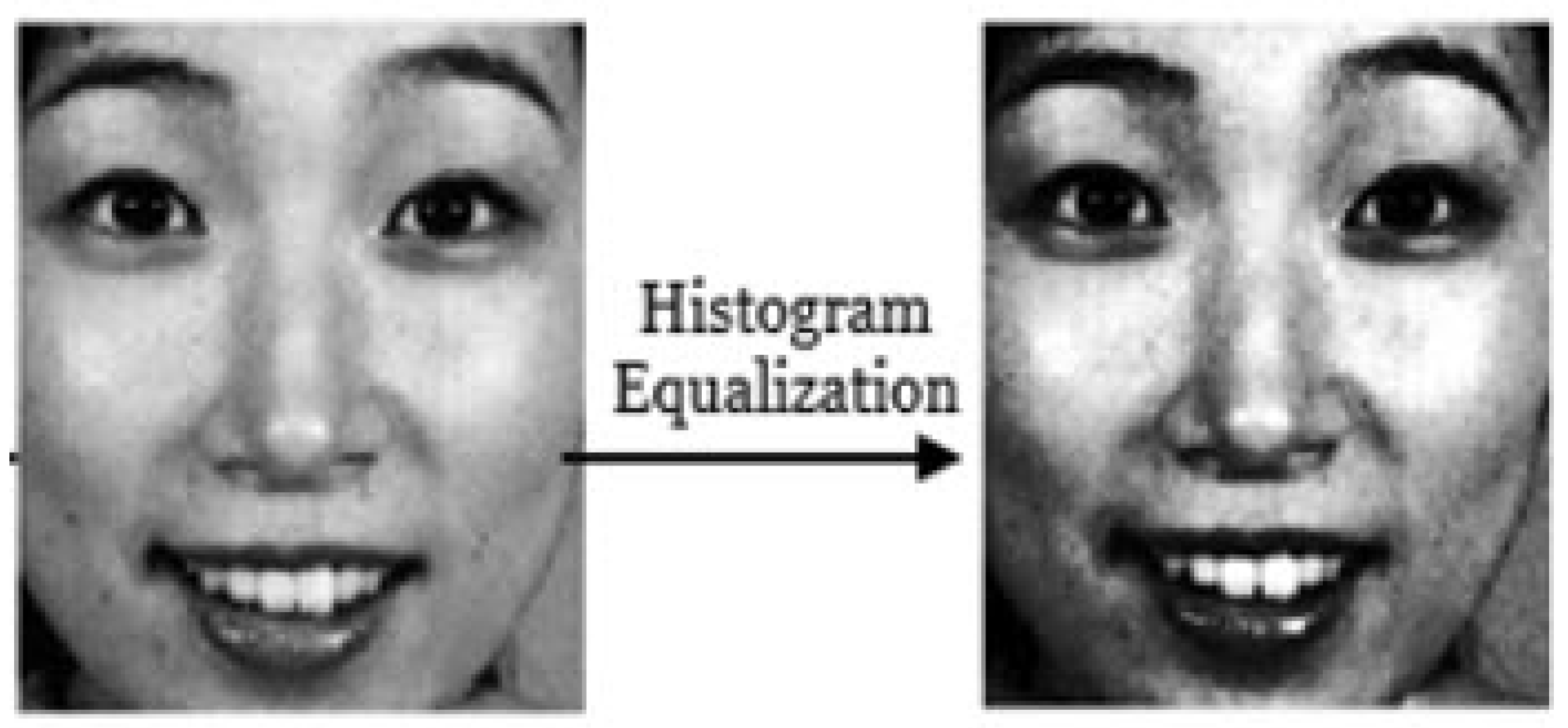 Information 15 00384 g003