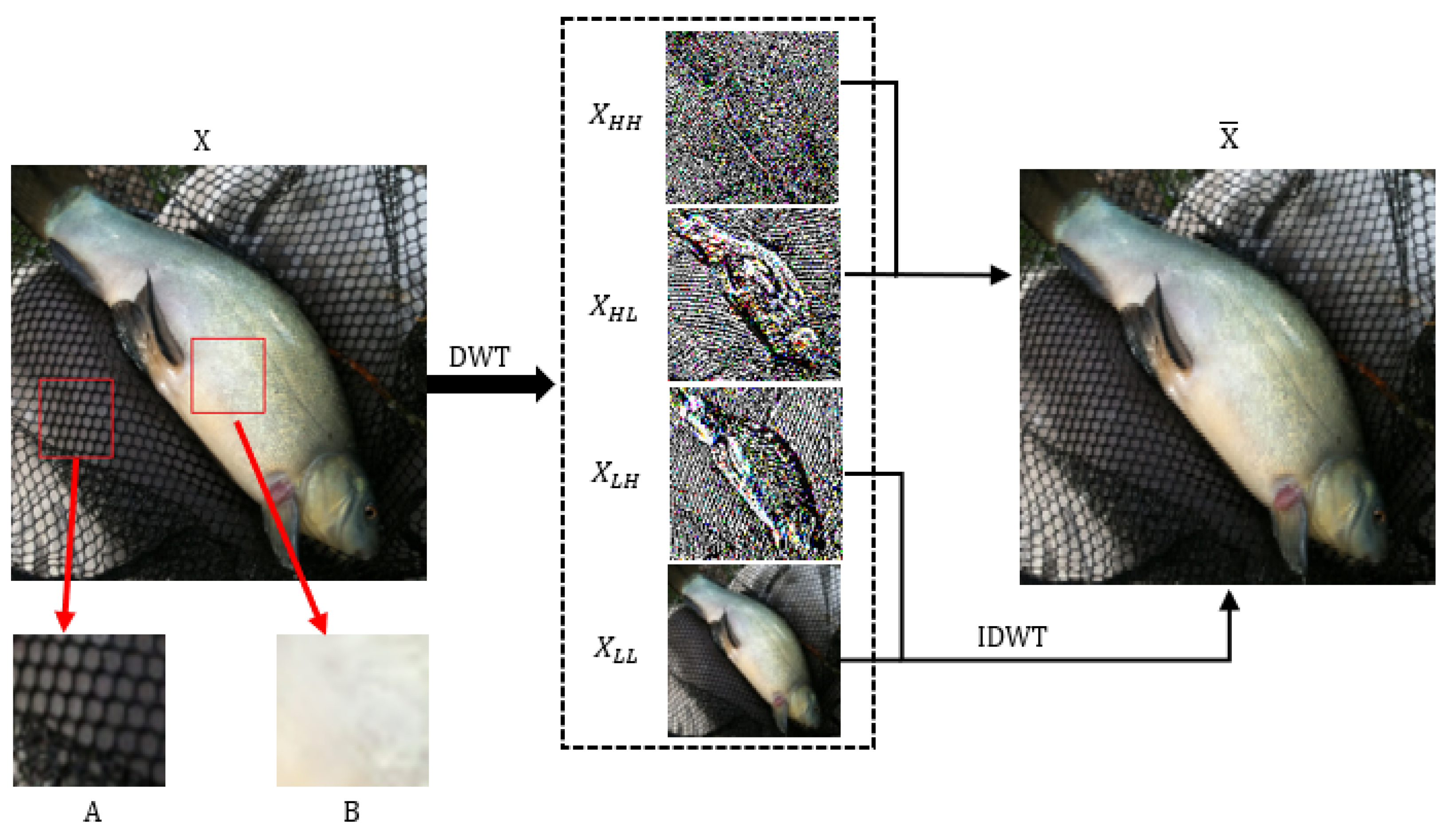 Information 15 00391 g002