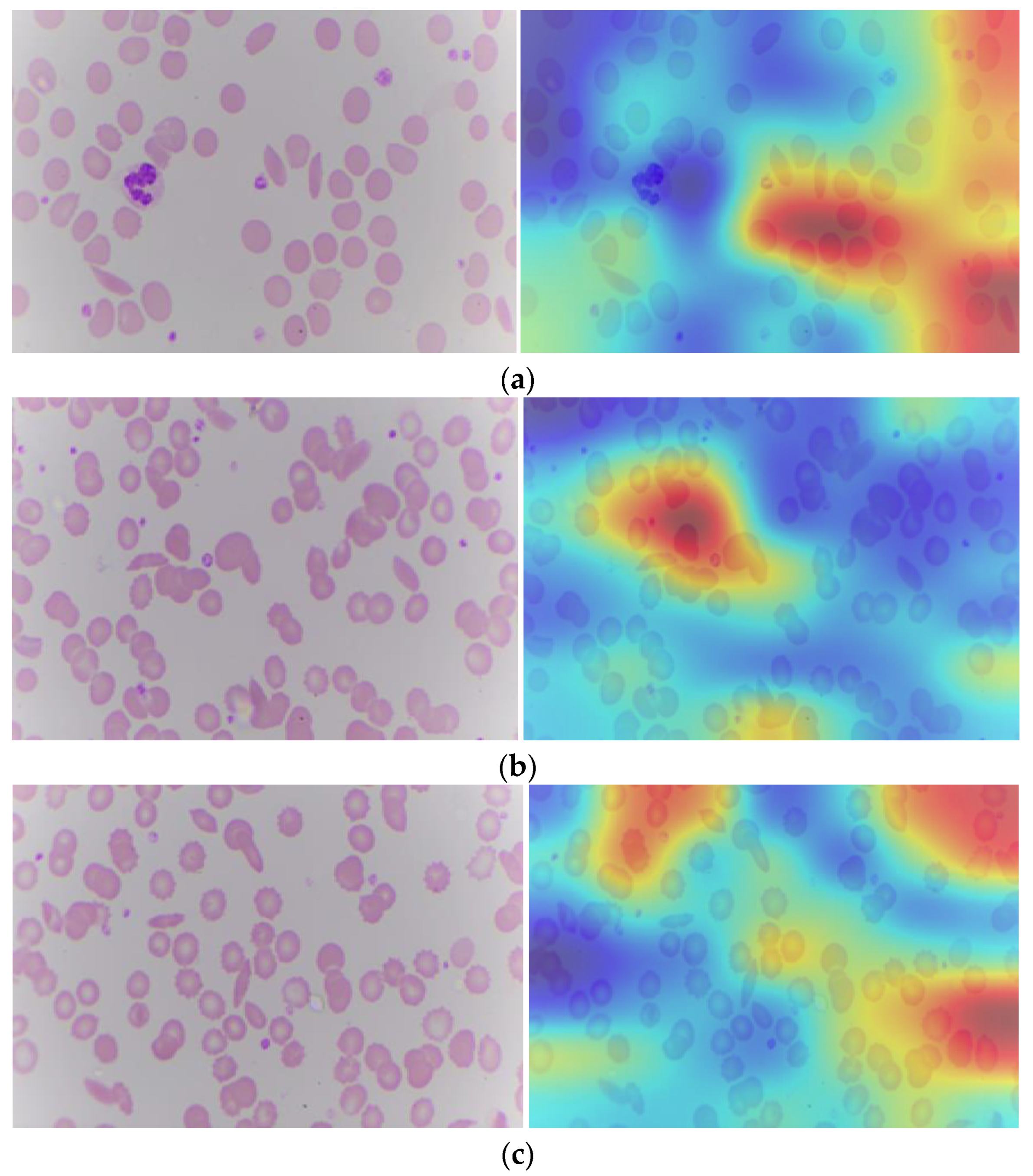 Information 15 00403 g009