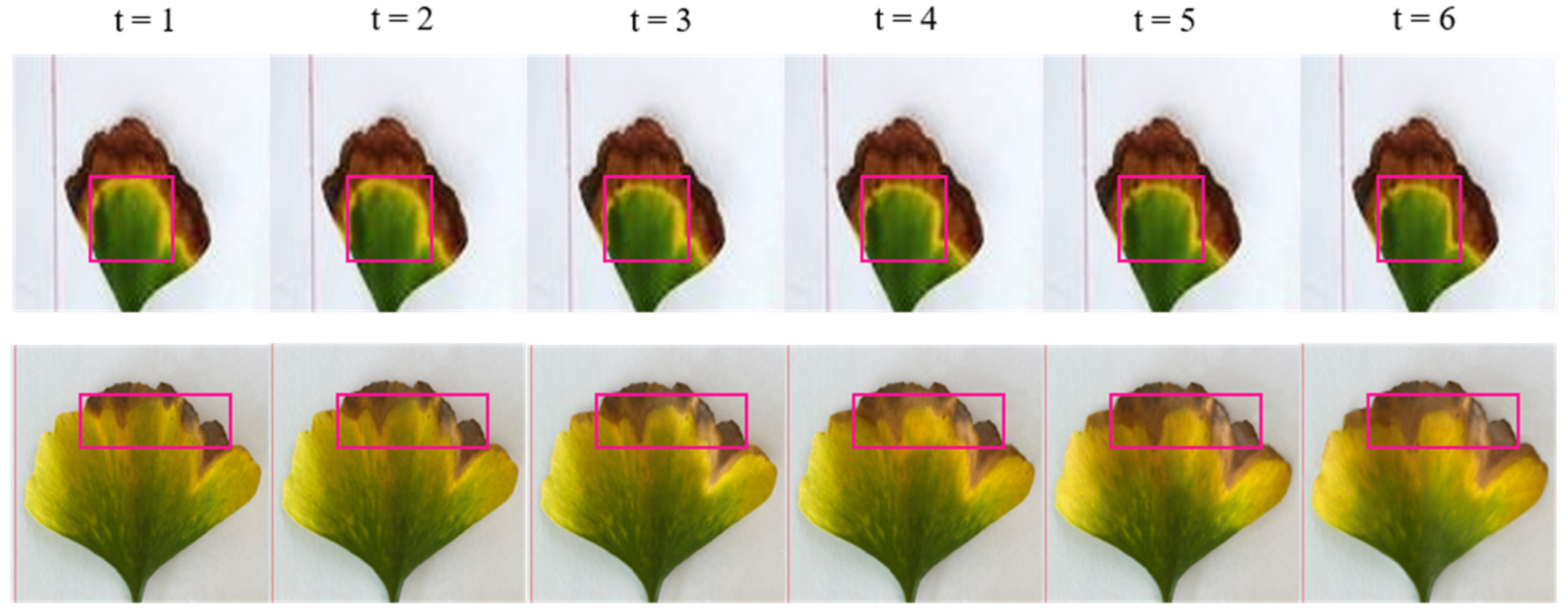 Information 15 00411 g002