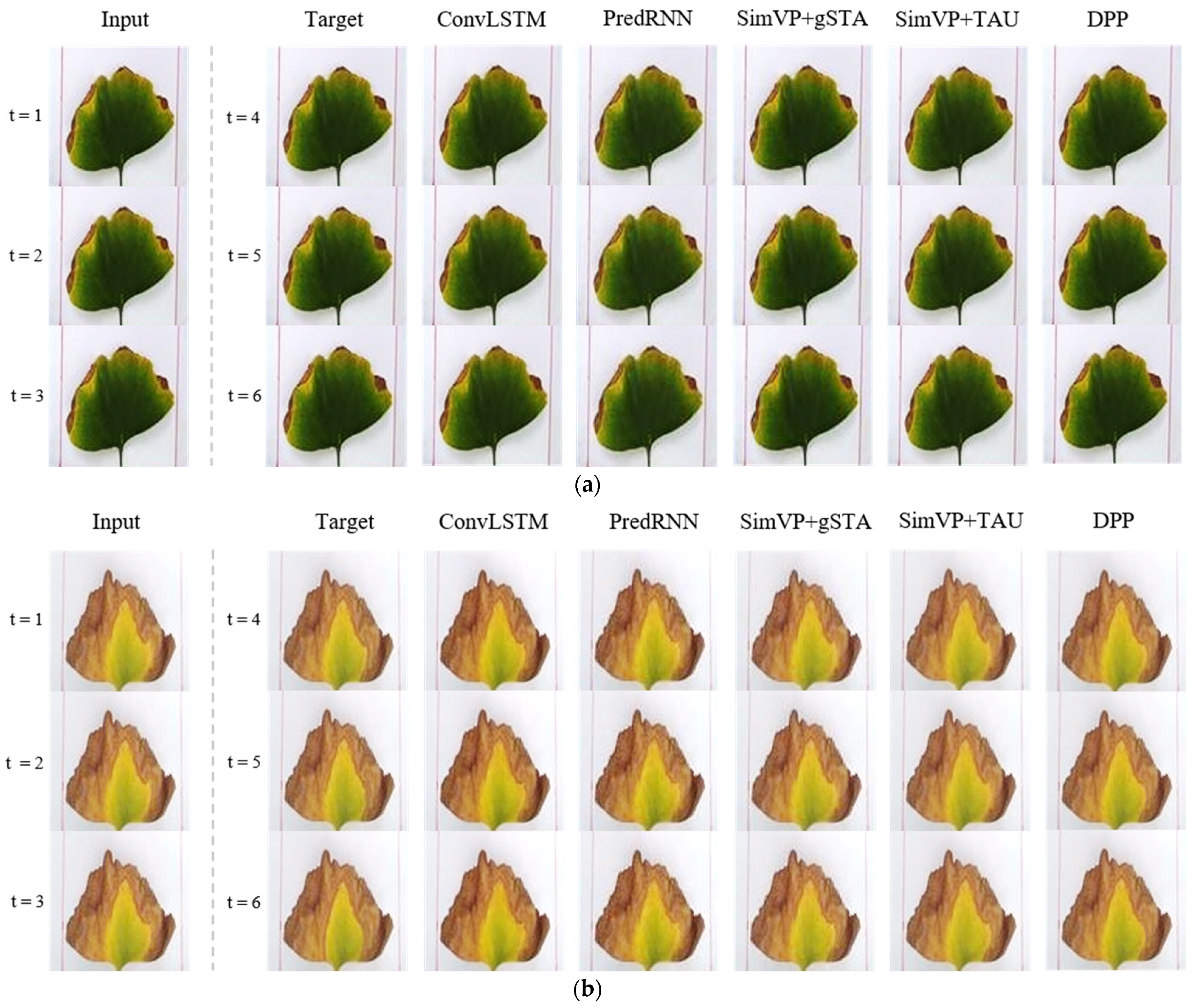 Information 15 00411 g005