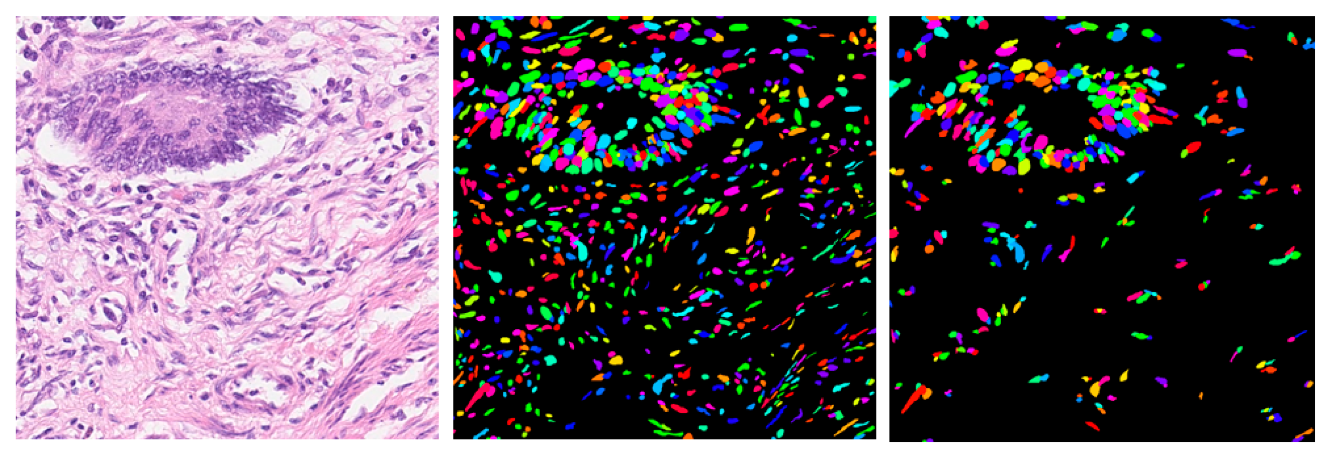 Information 15 00417 g007