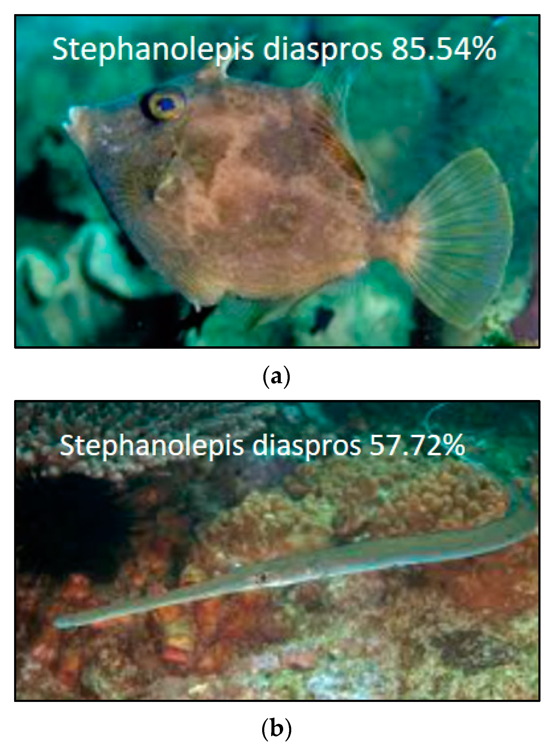 Information 15 00437 g005