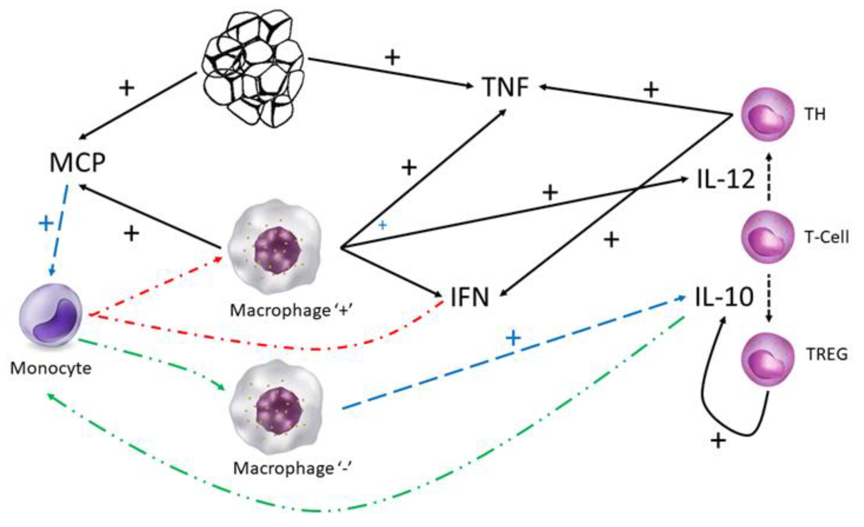 Information 15 00457 g004