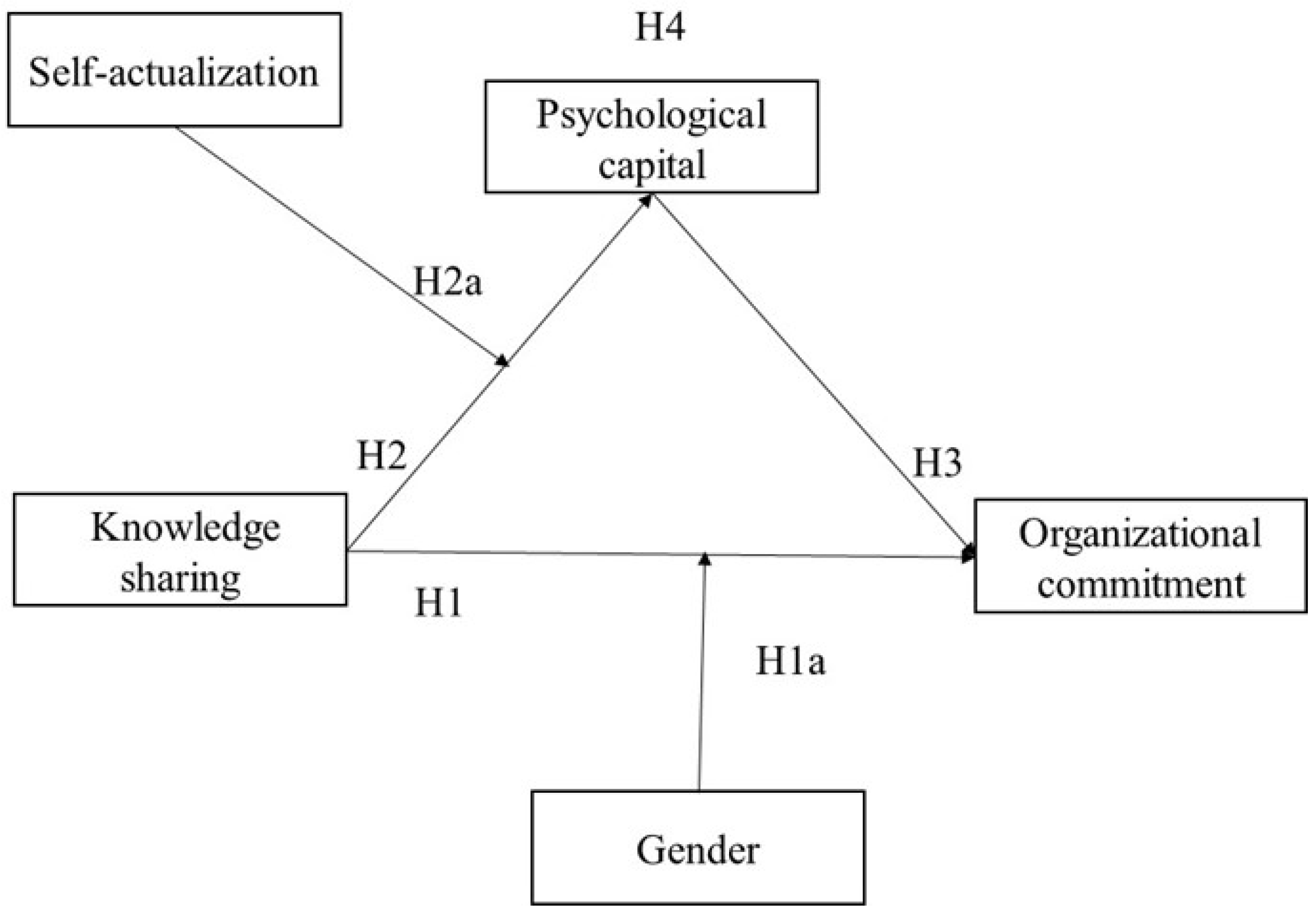 Information 15 00459 g001 Information 15 00459 g001