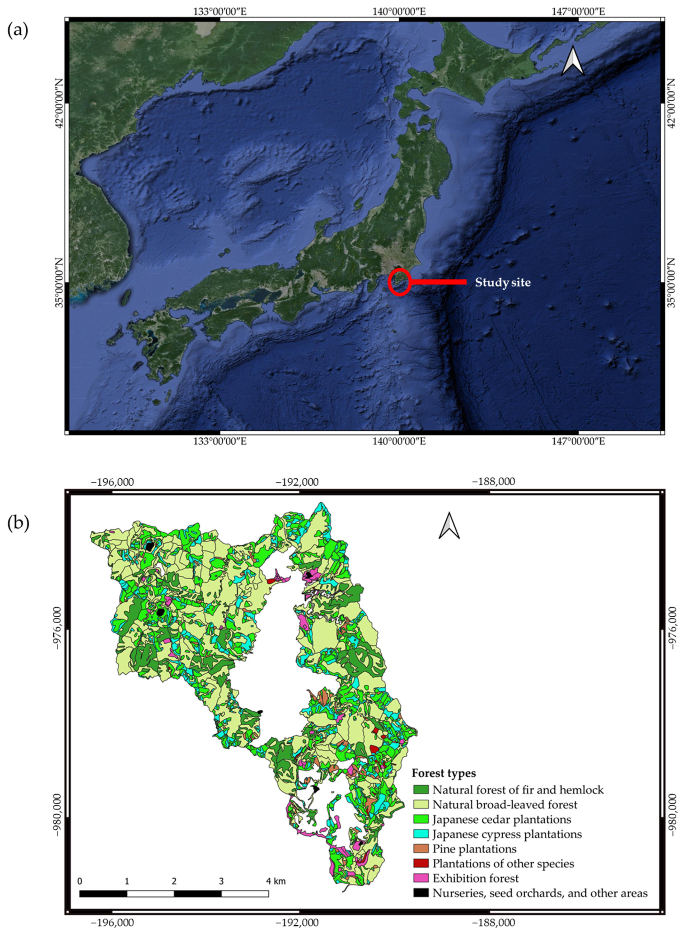 Information 15 00485 g001a