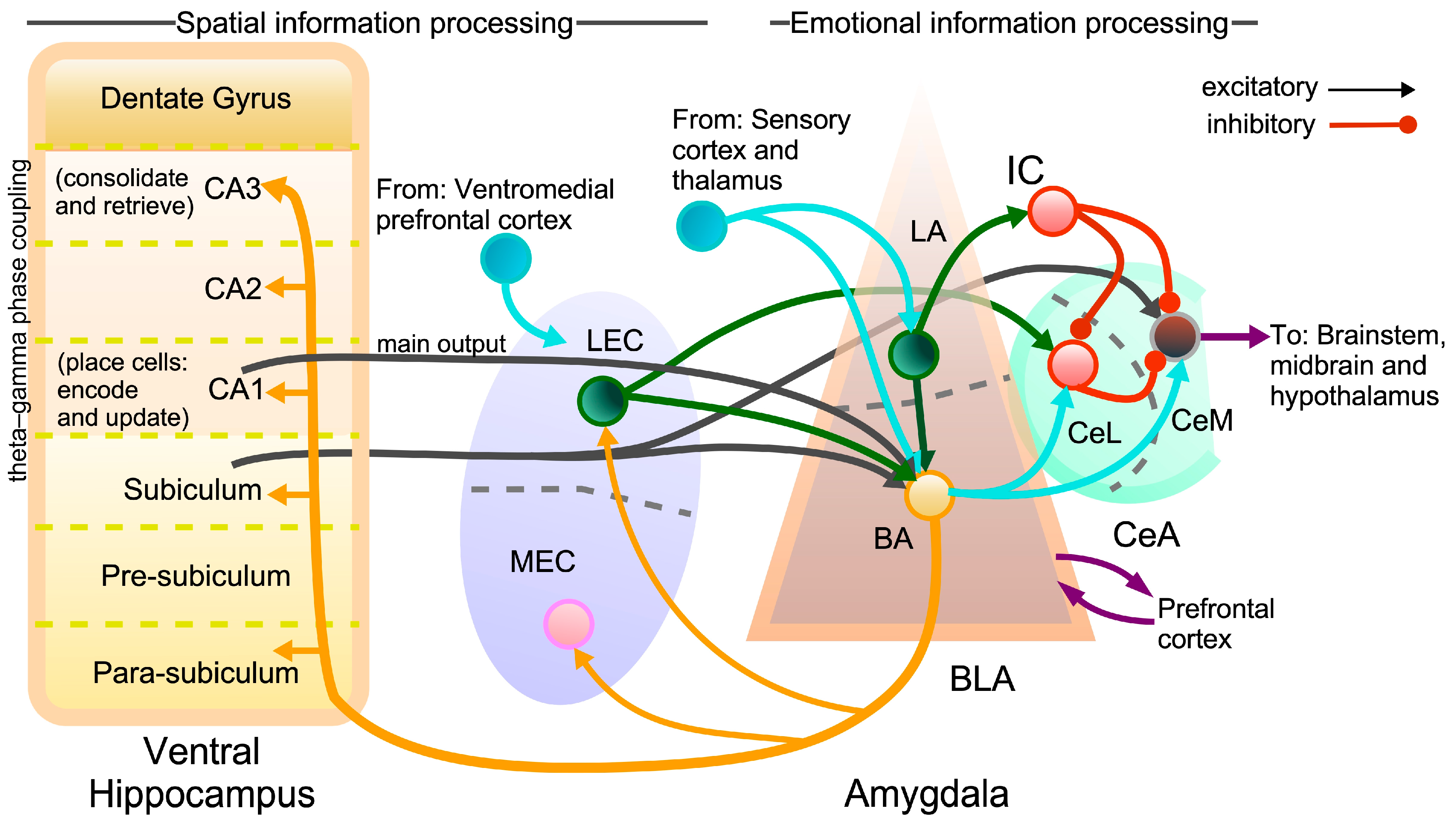 Information 15 00487 g004