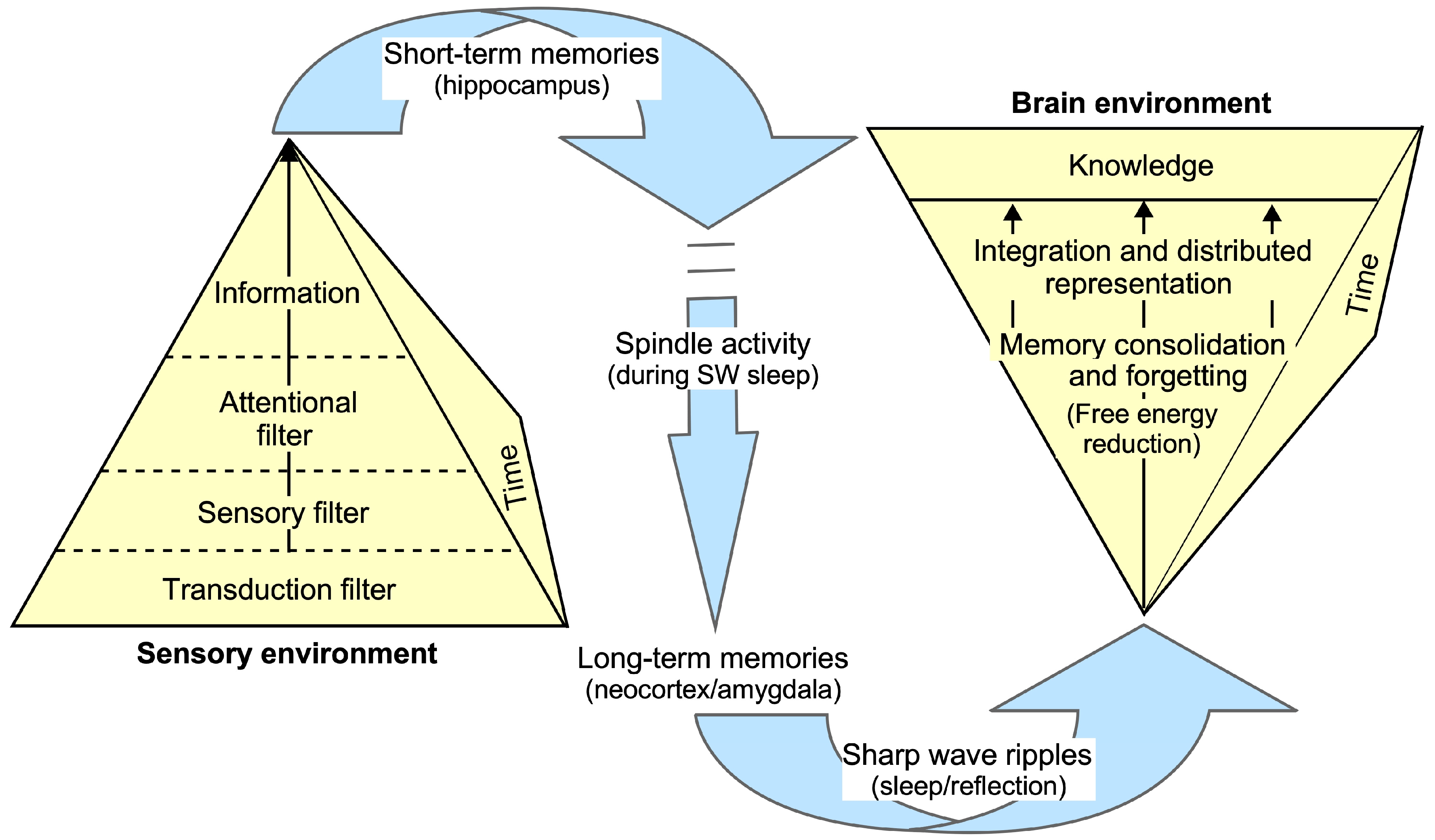 Information 15 00487 g009