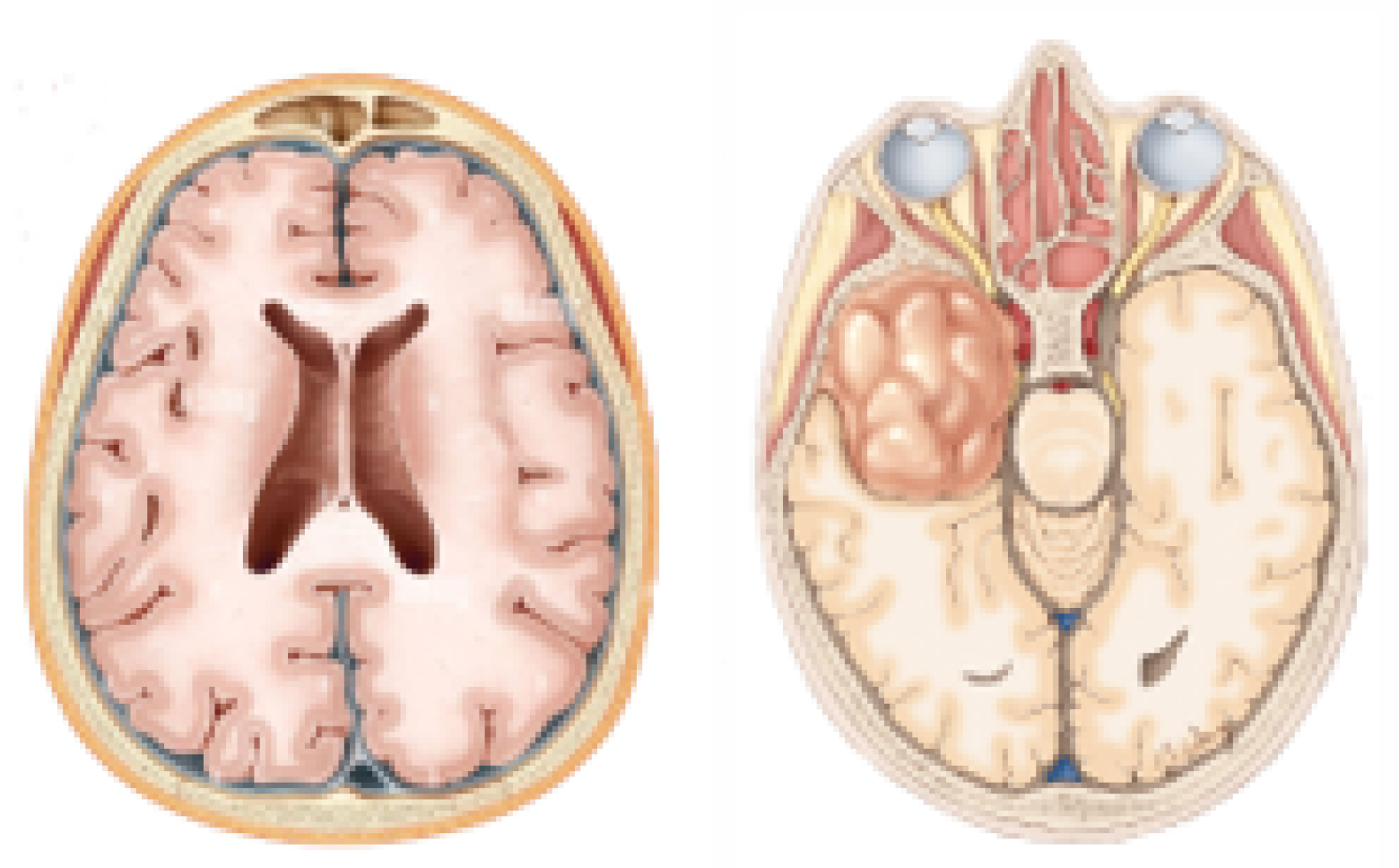 Information 15 00489 g001