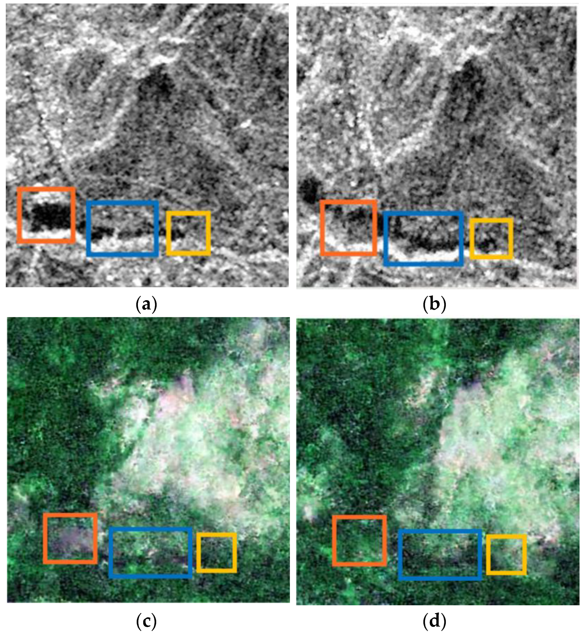 Information 15 00524 g009