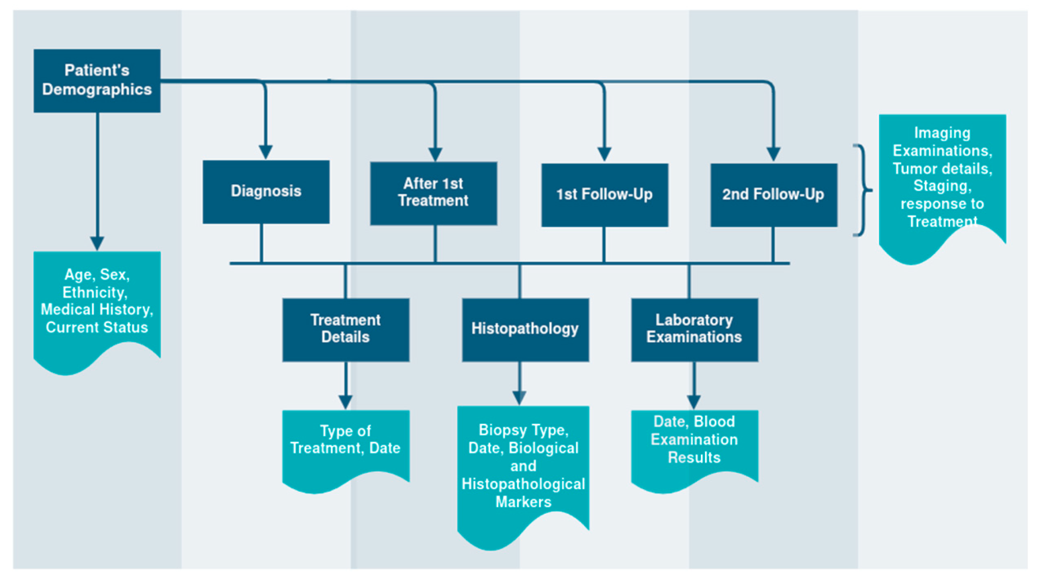 Information 15 00533 g003