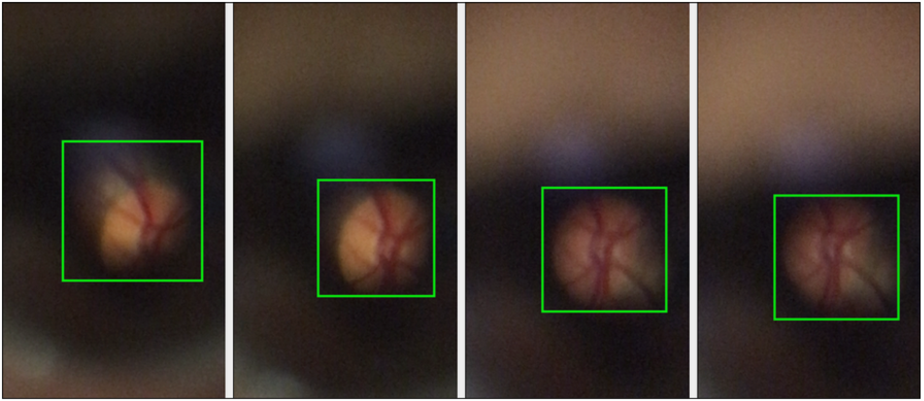 Information 15 00652 g001