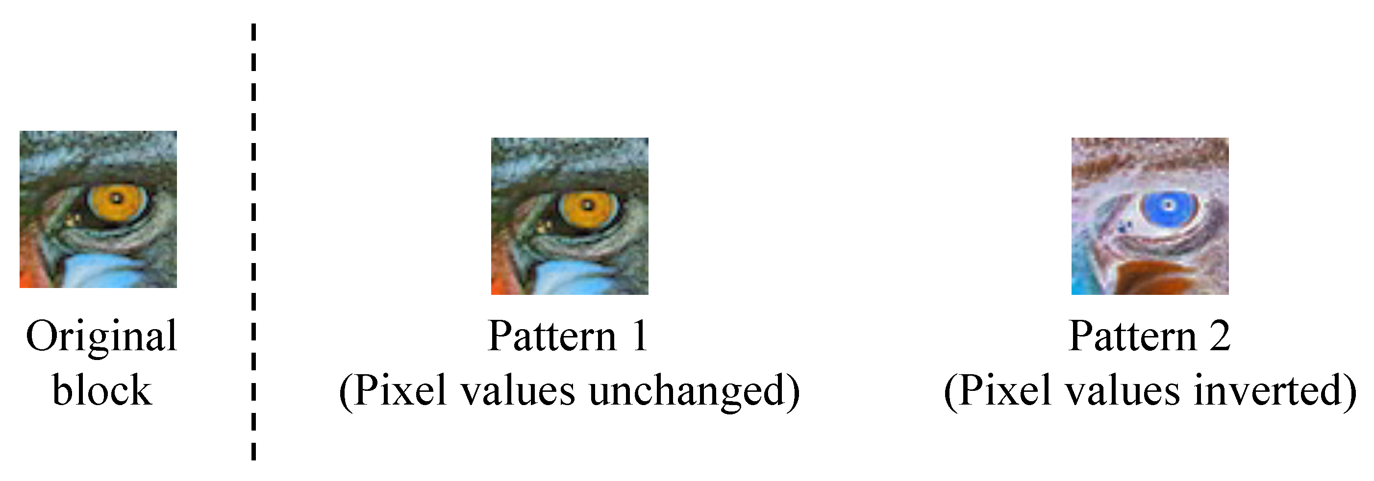 Information 15 00723 g006