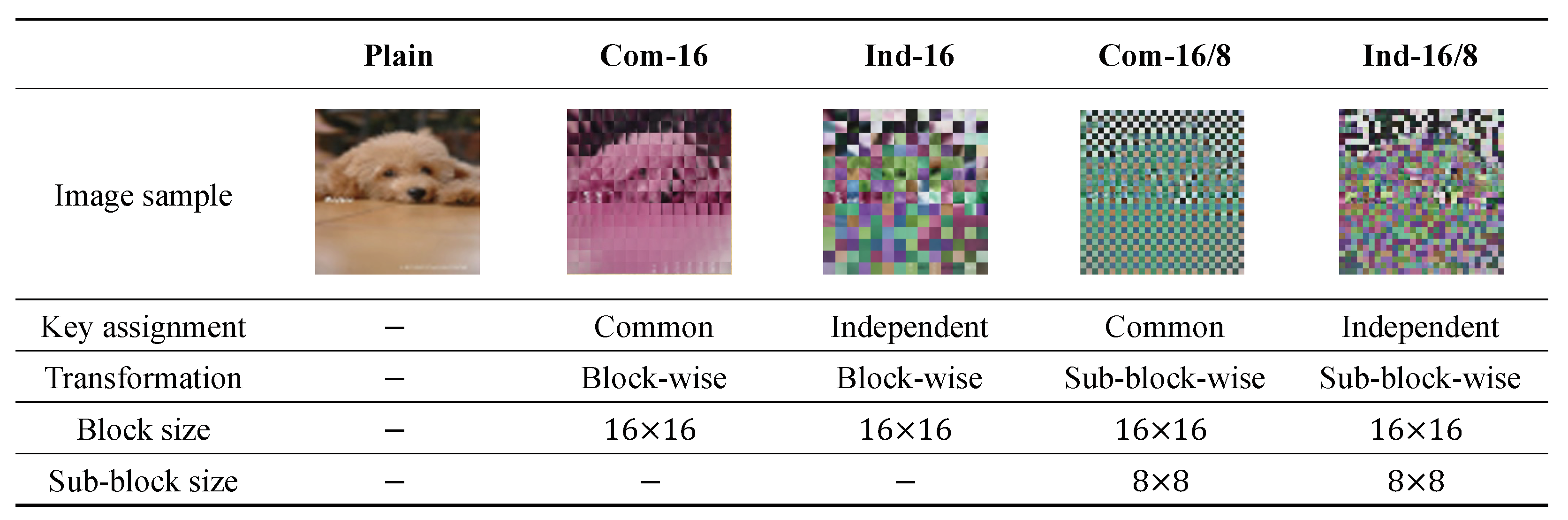 Information 15 00723 g010